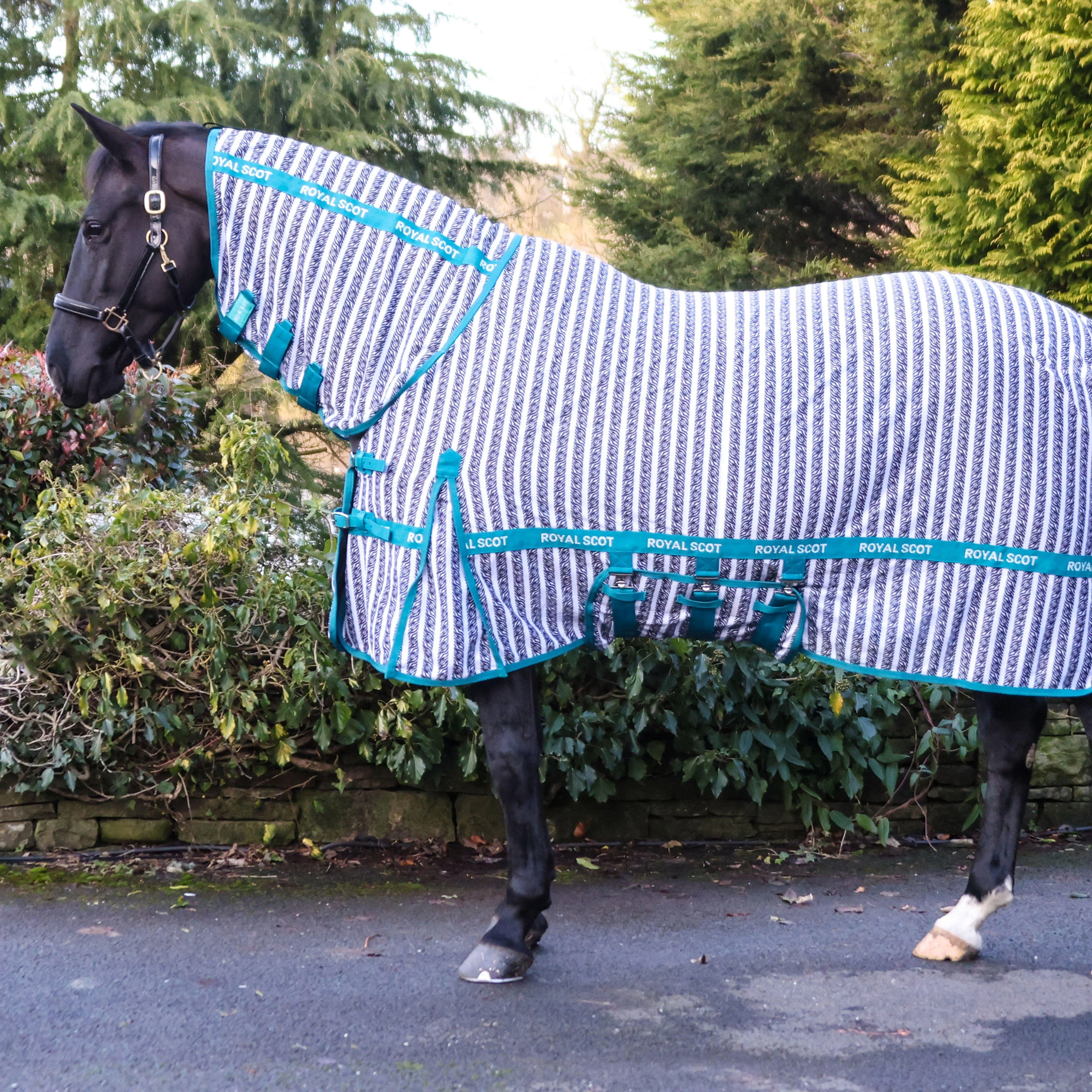 Original Zebra Stripe Fly Rug - Image 2