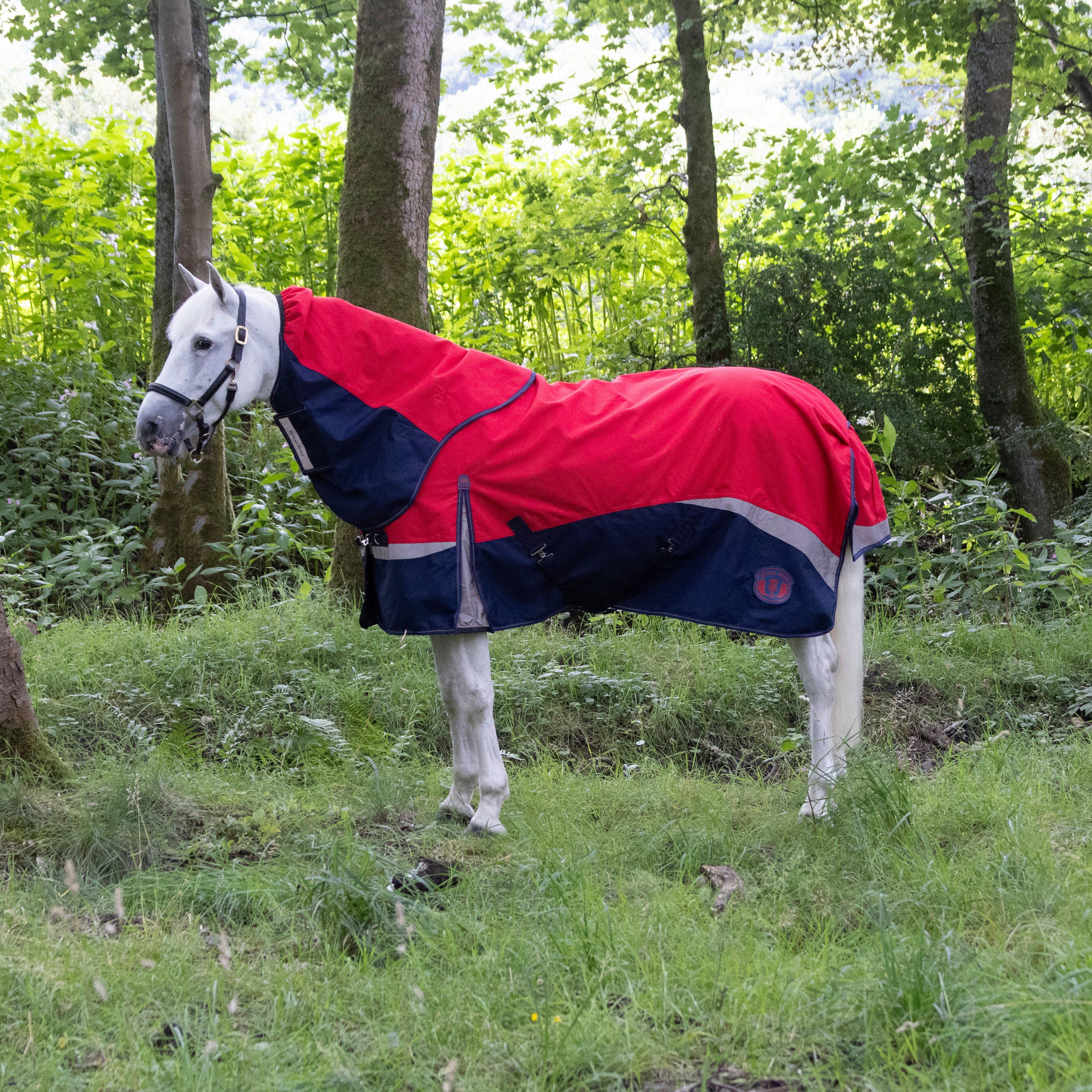 Pro 100g Turnout Rug - Image 10