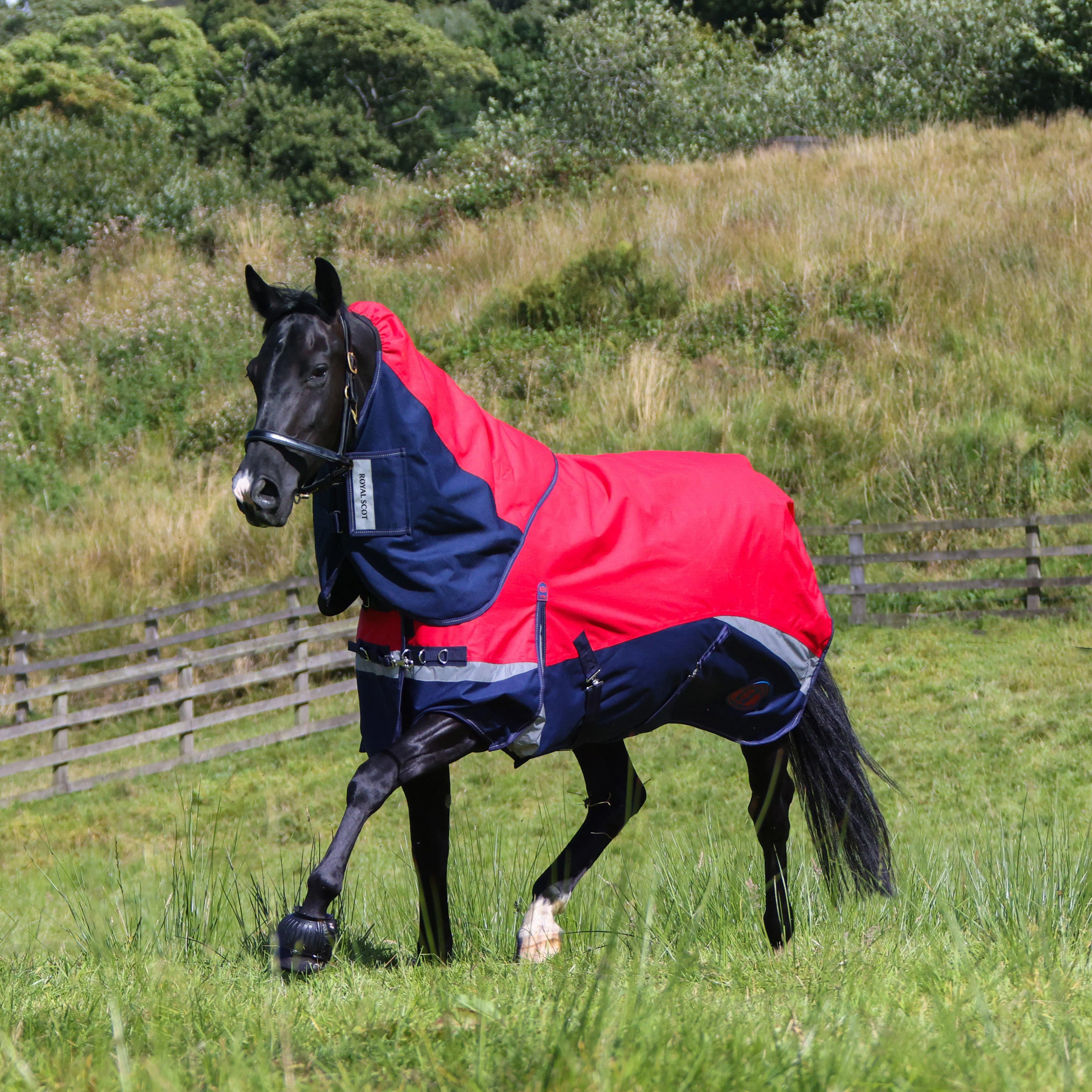 Pro 100g Turnout Rug - Image 4