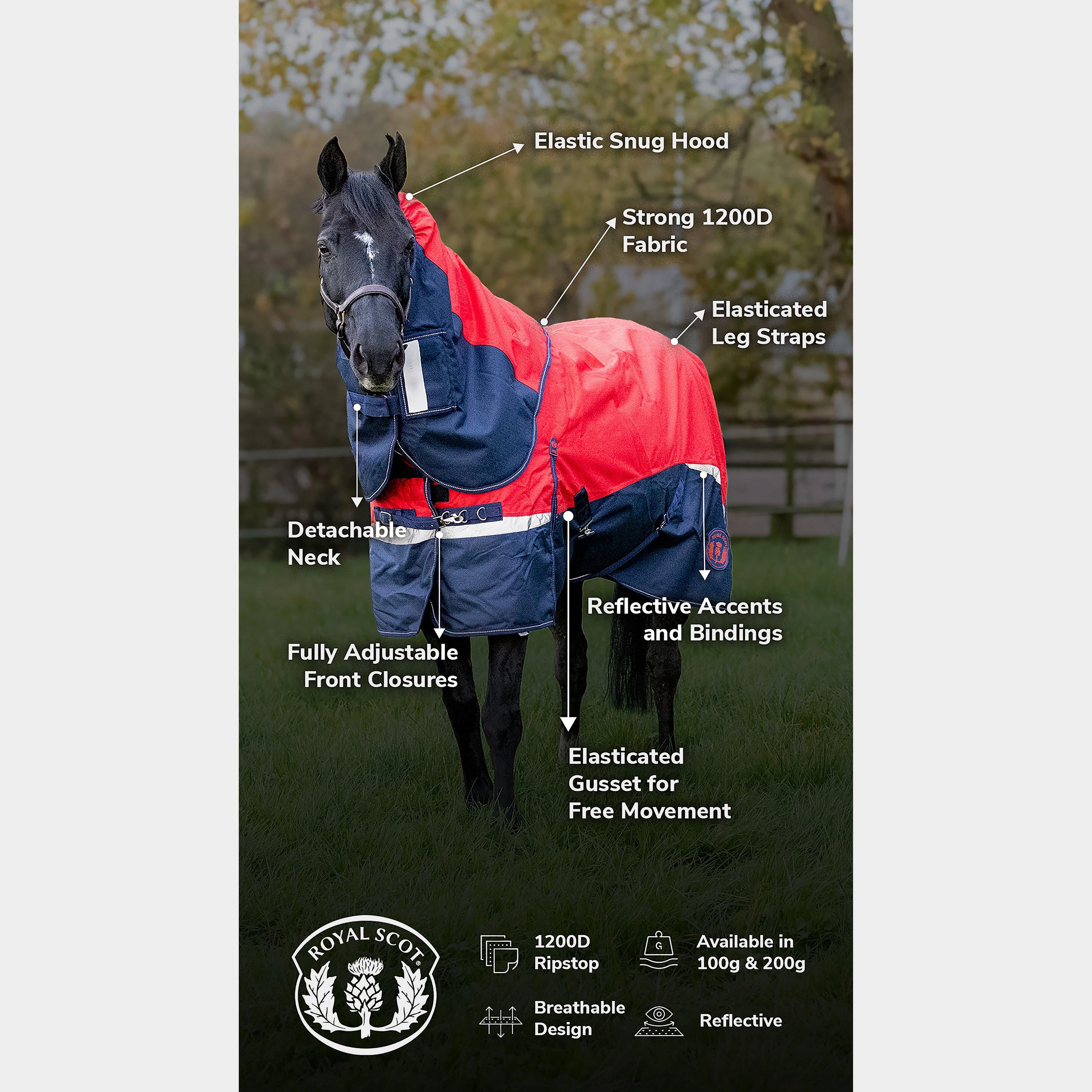 Pro 100g Turnout Rug - Image 9