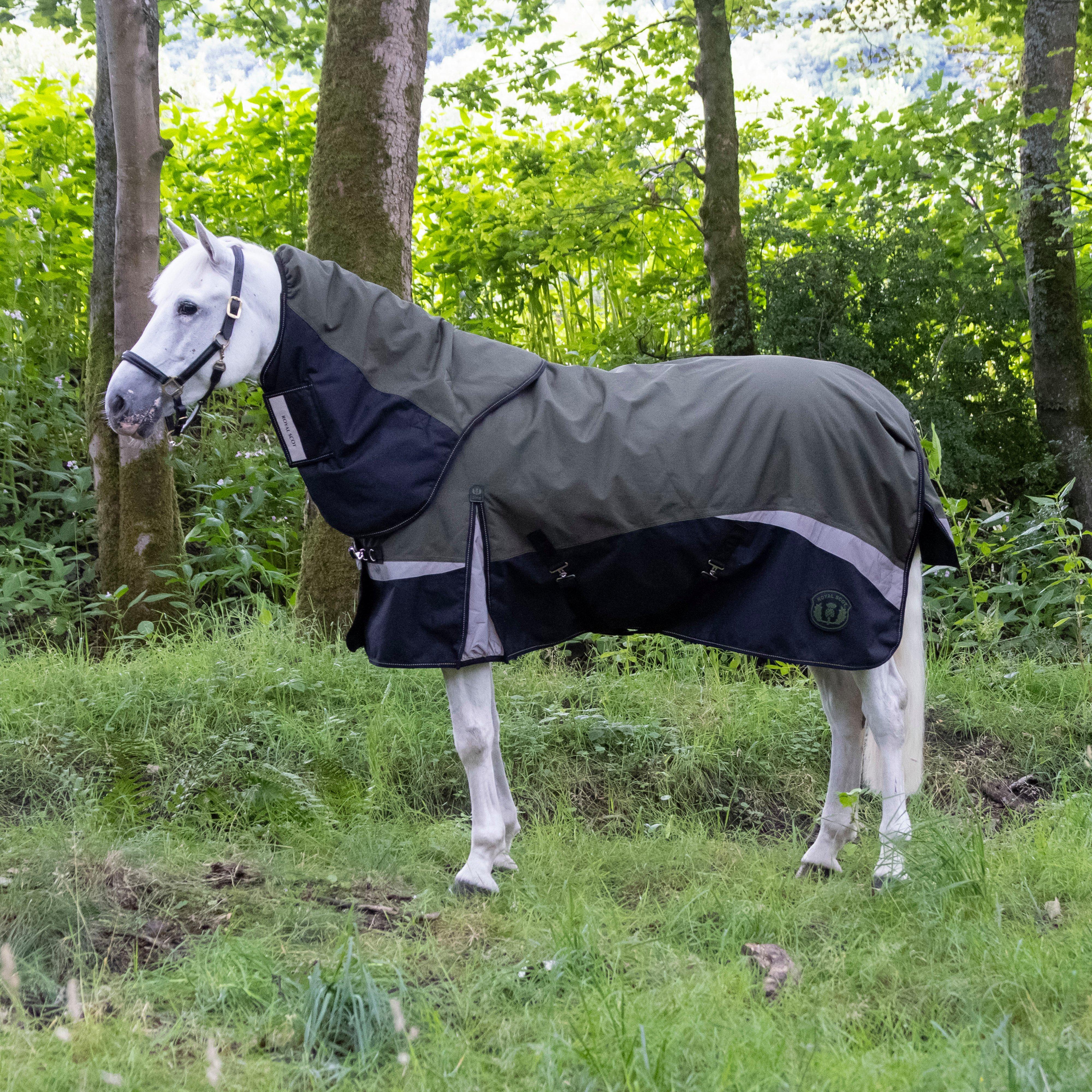 Pro 200g Turnout Rug - Image 10