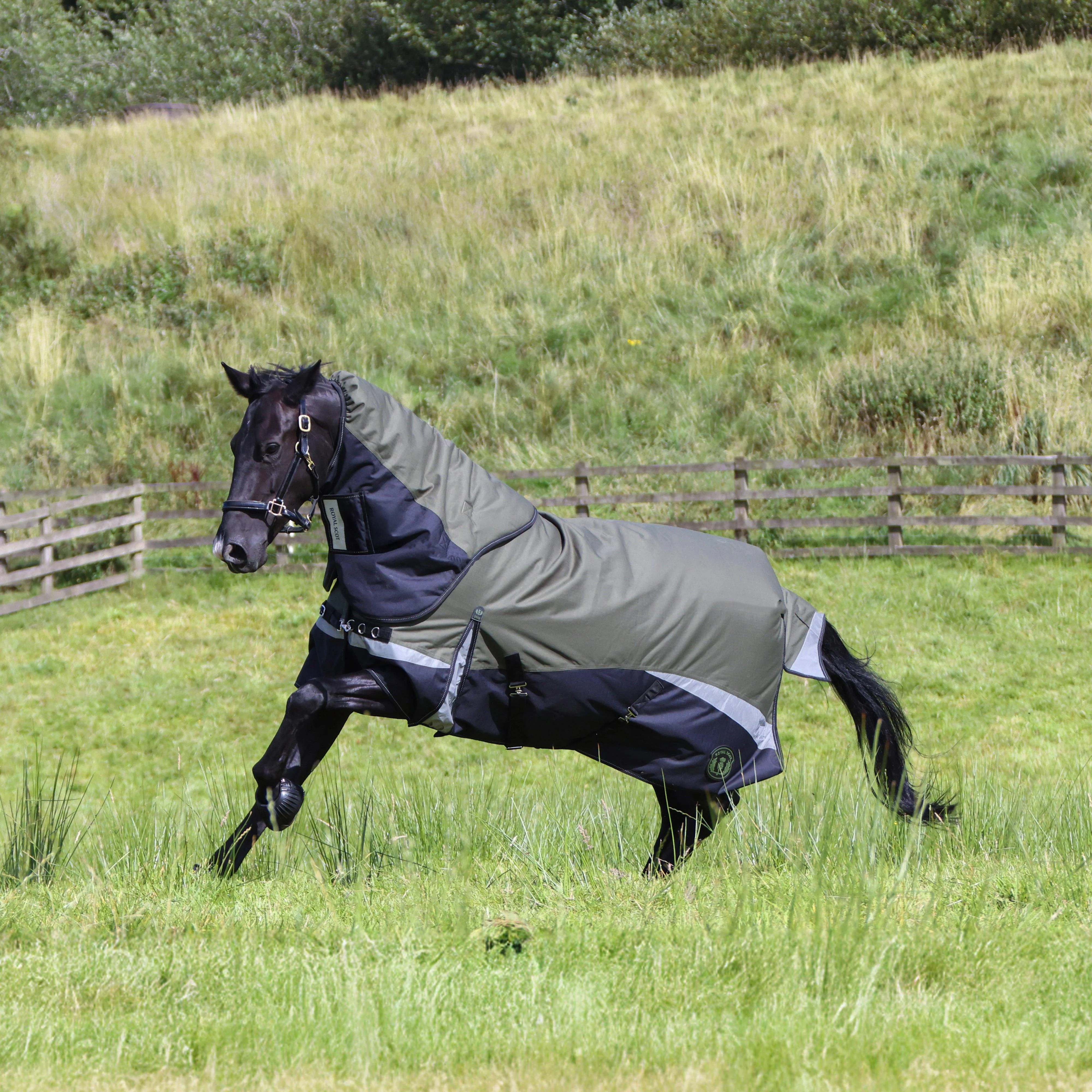 Pro 200g Turnout Rug - Image 3