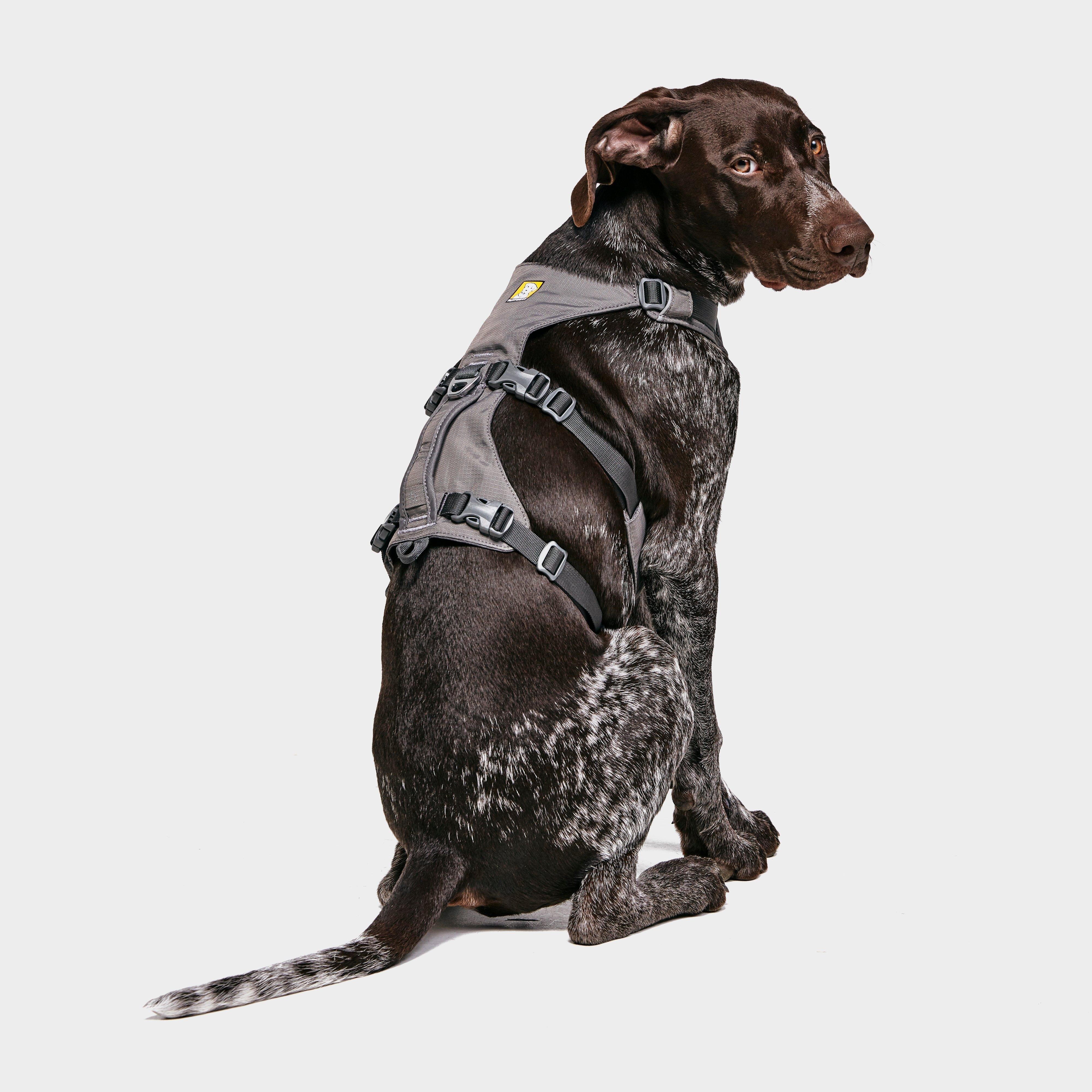 Flagline Dog Harness - Image 2