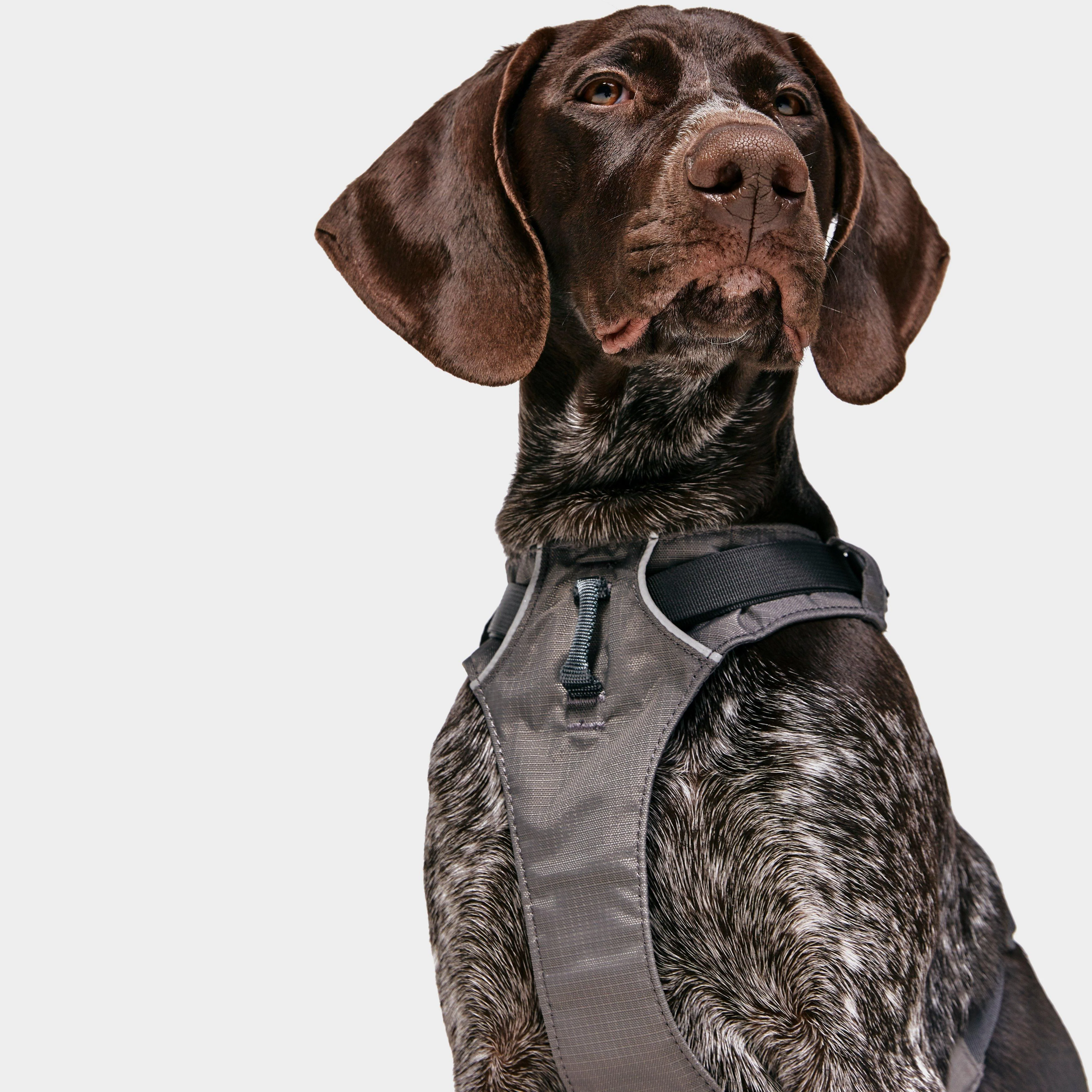 Flagline Dog Harness - Image 4