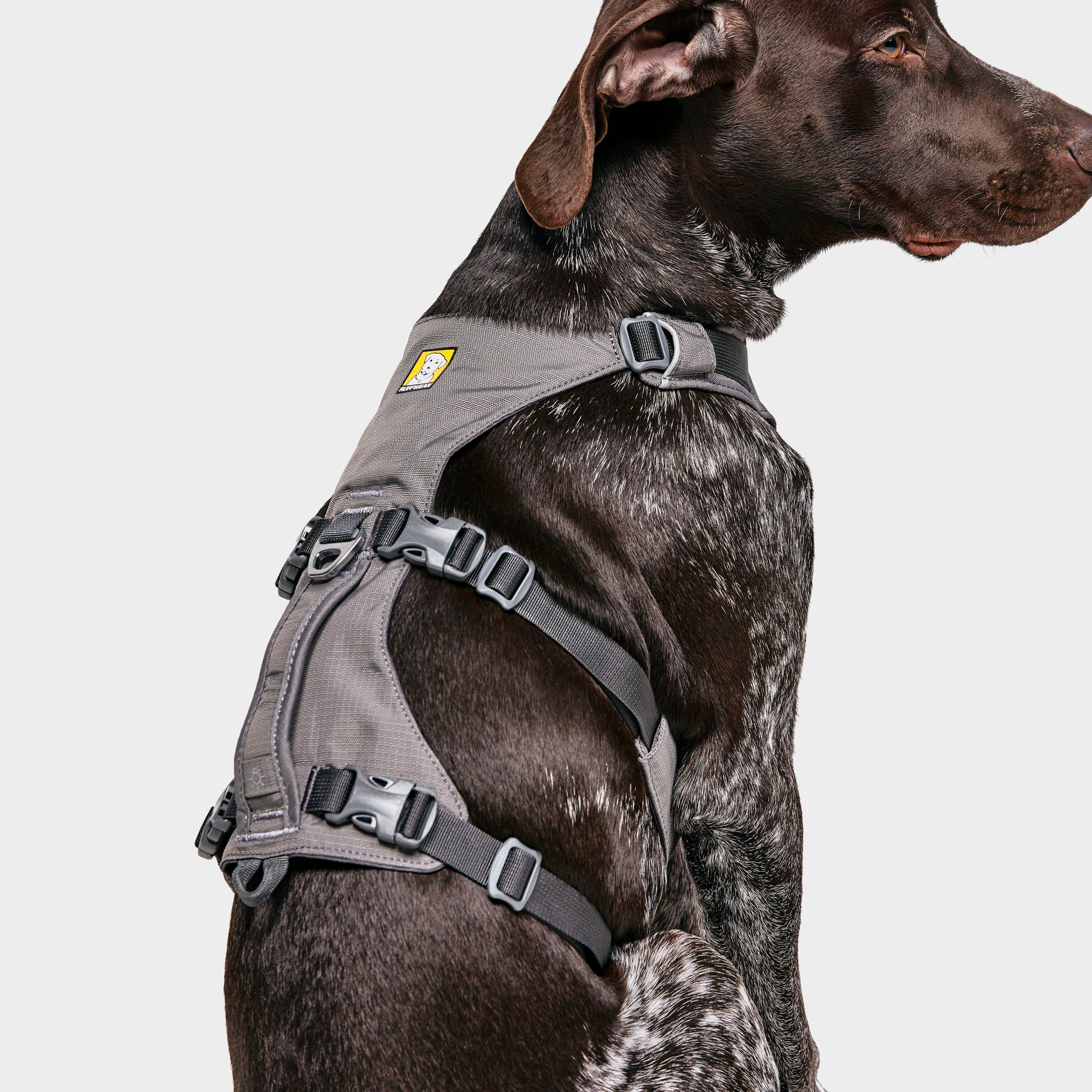 Flagline Dog Harness - Image 5