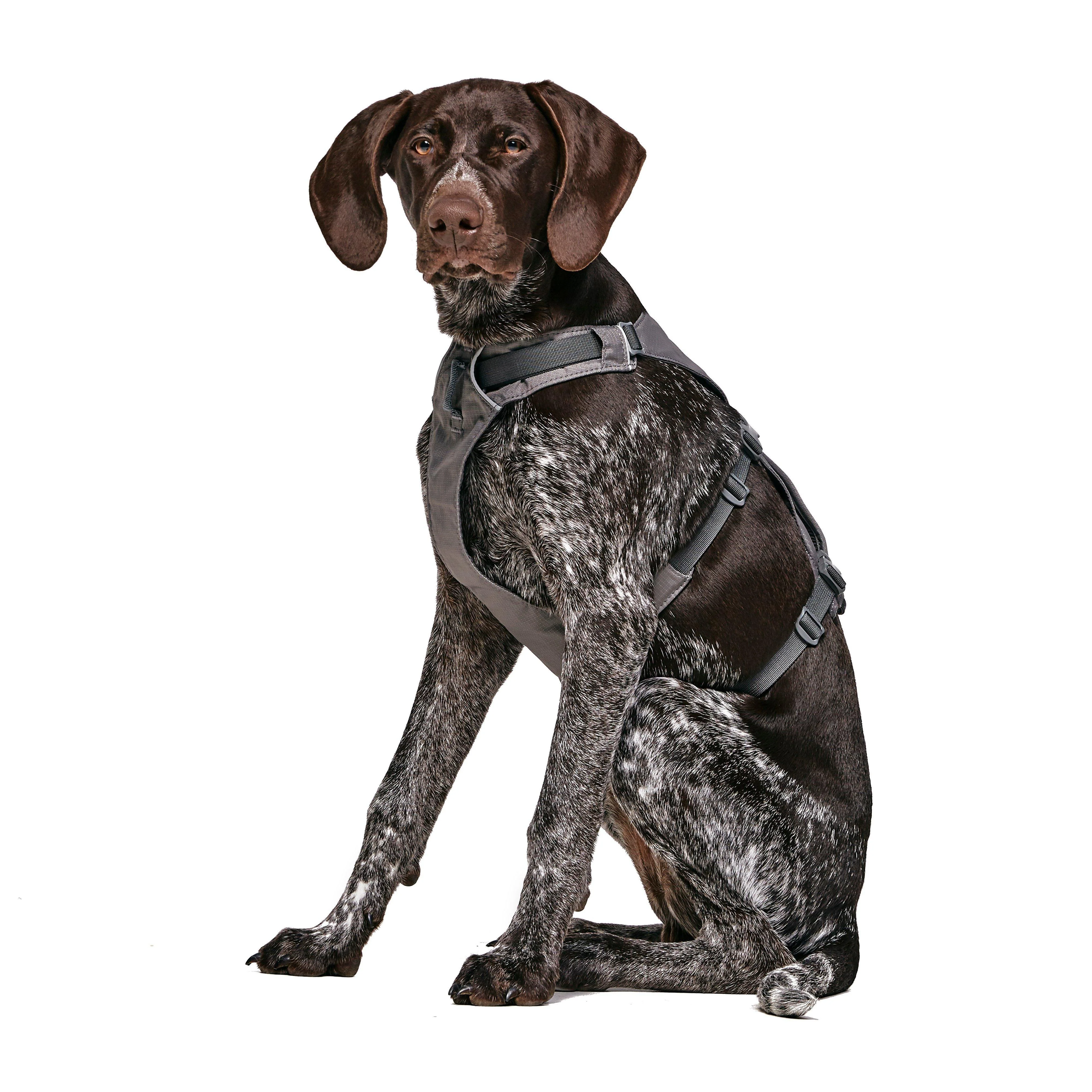 Flagline Dog Harness - Image 7