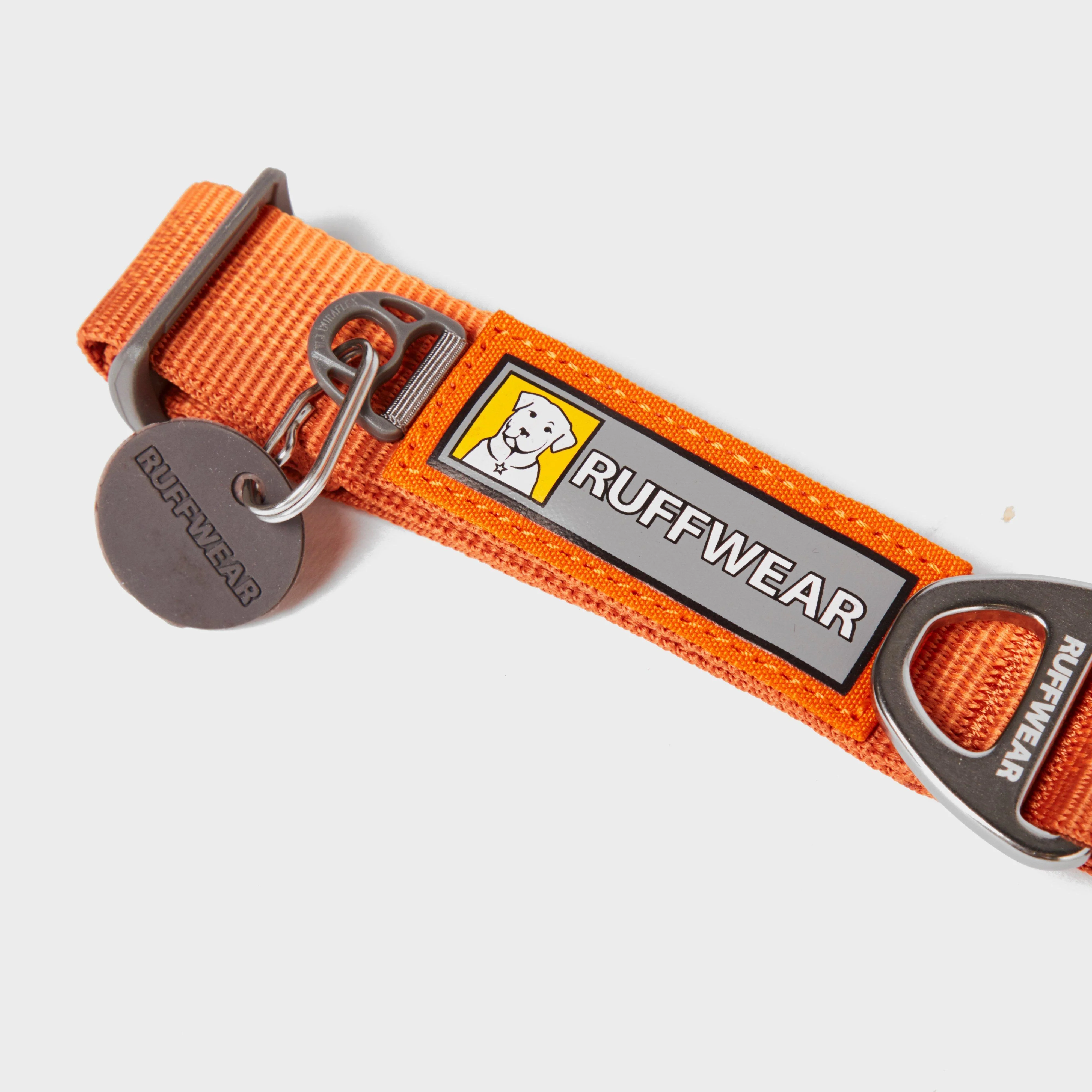 Front Range Dog Collar Orange - Image 2