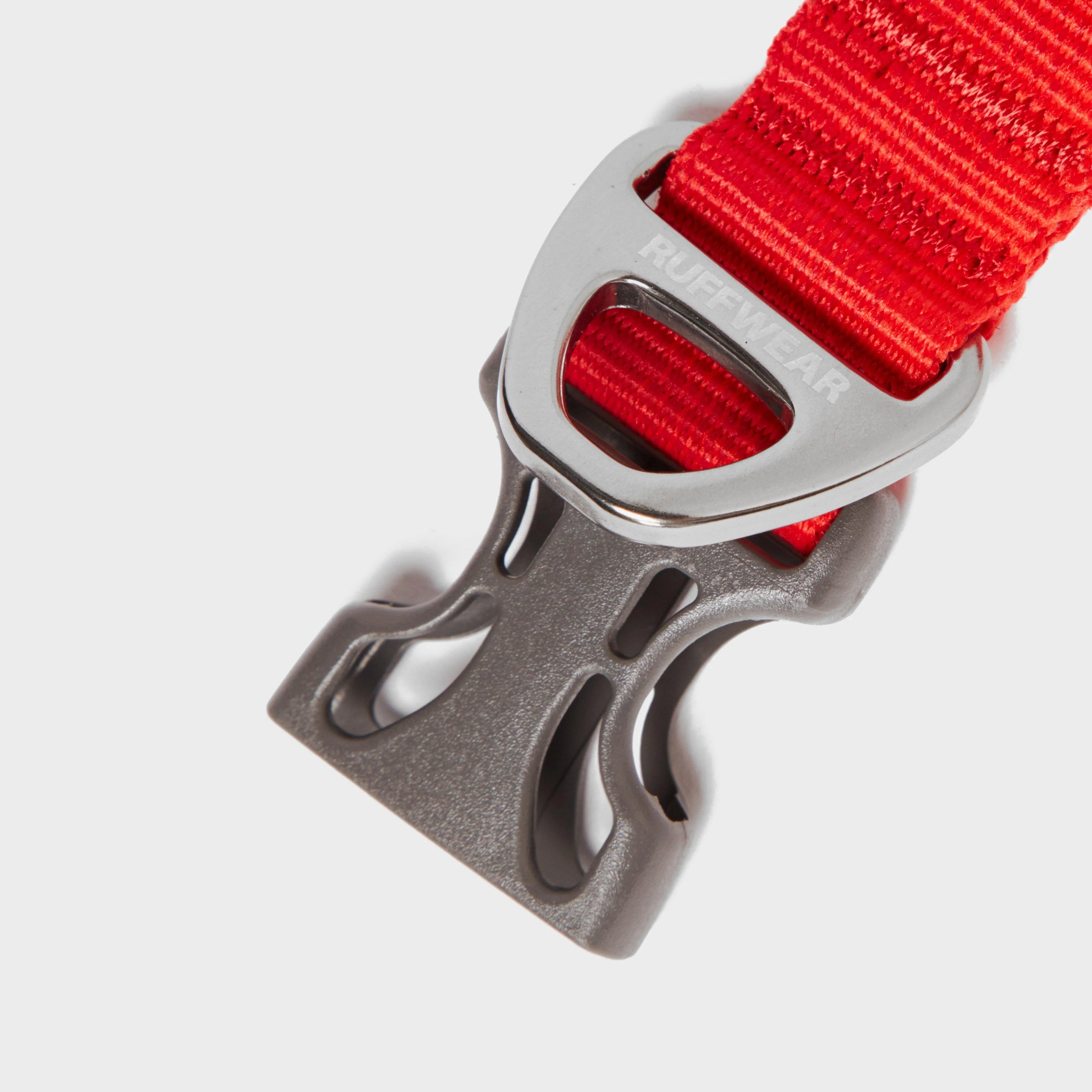 Front Range Dog Collar - Image 3