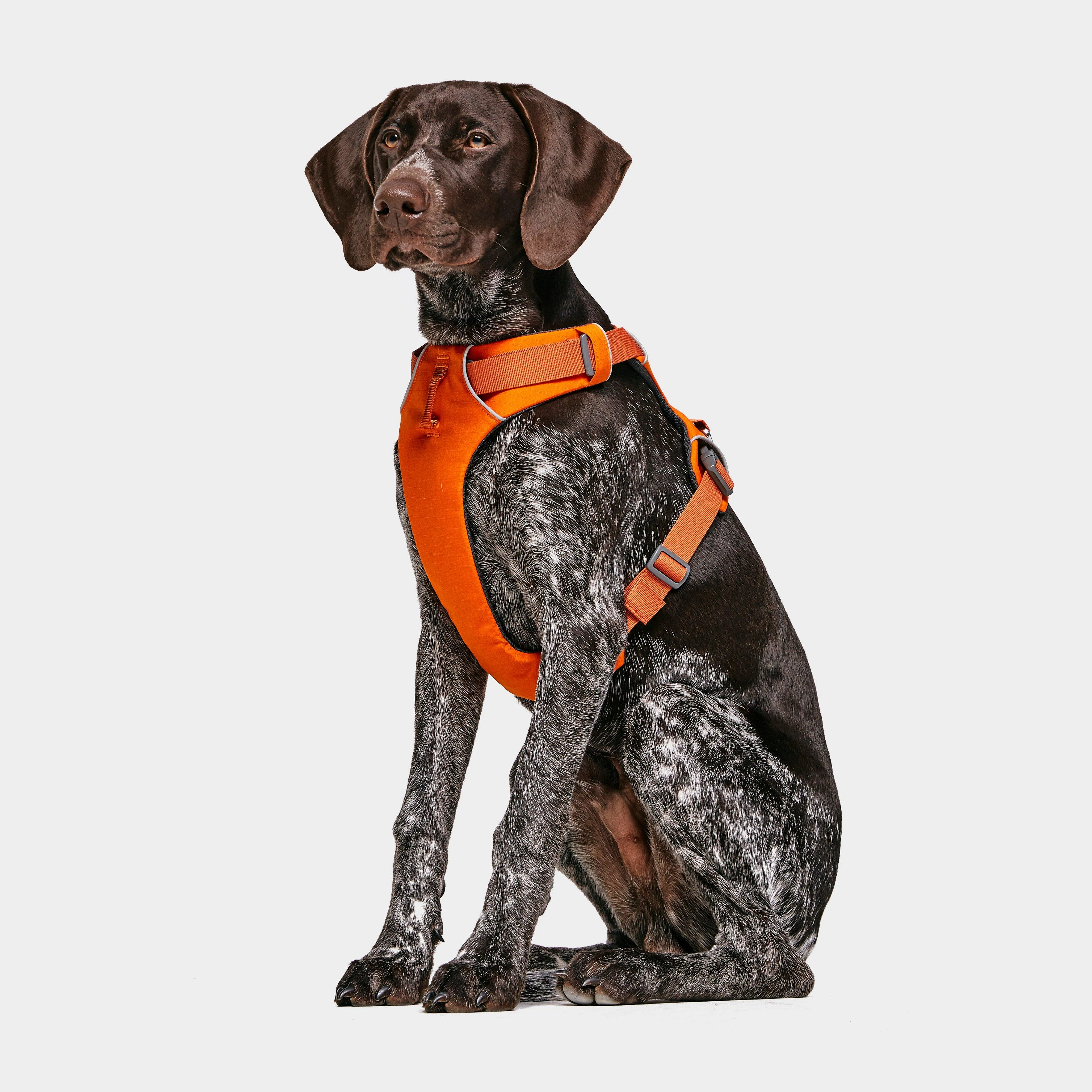 Front Range™ Dog Harness - Image 3