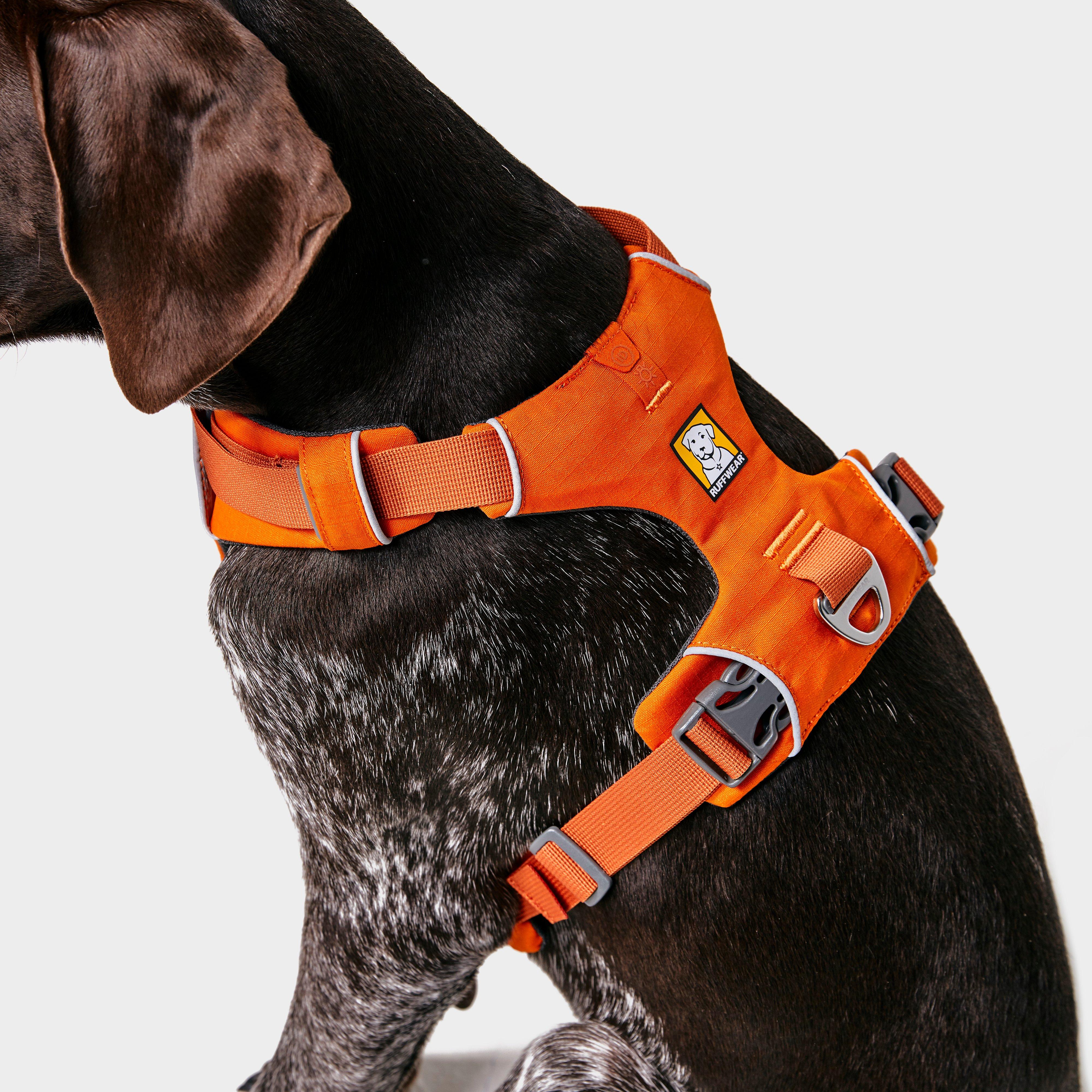 Front Range™ Dog Harness - Image 4