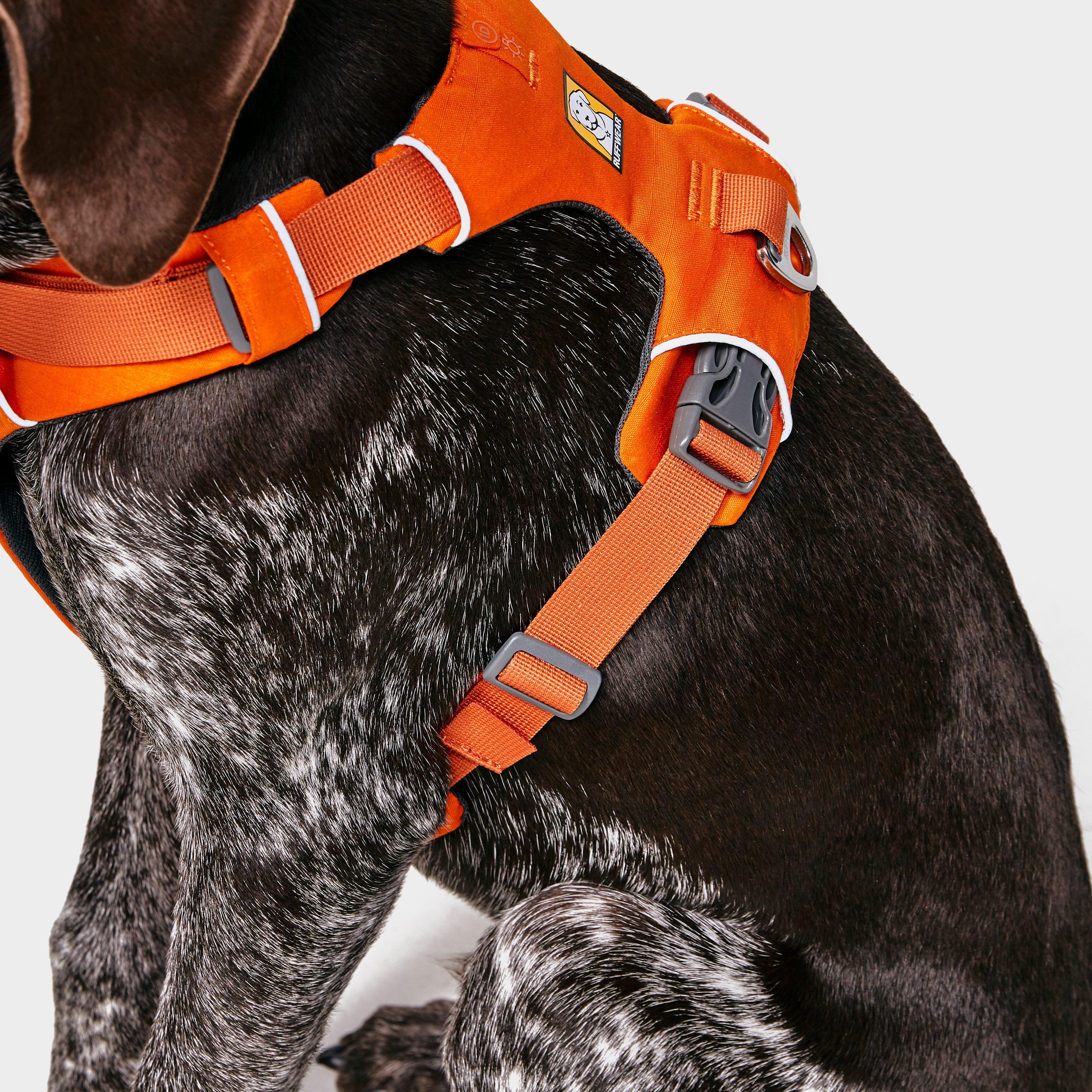 Front Range™ Dog Harness - Image 5