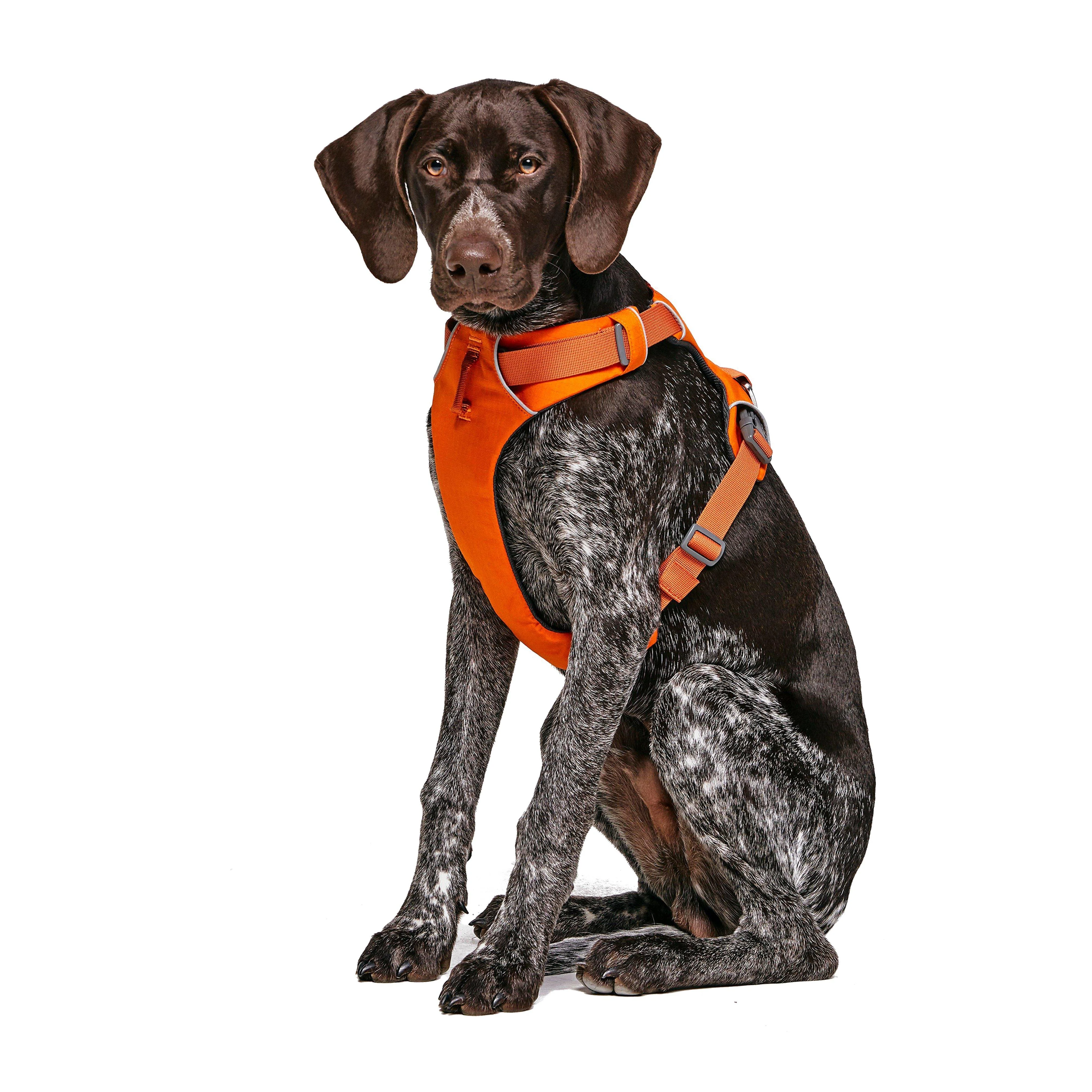Front Range™ Dog Harness - Image 7