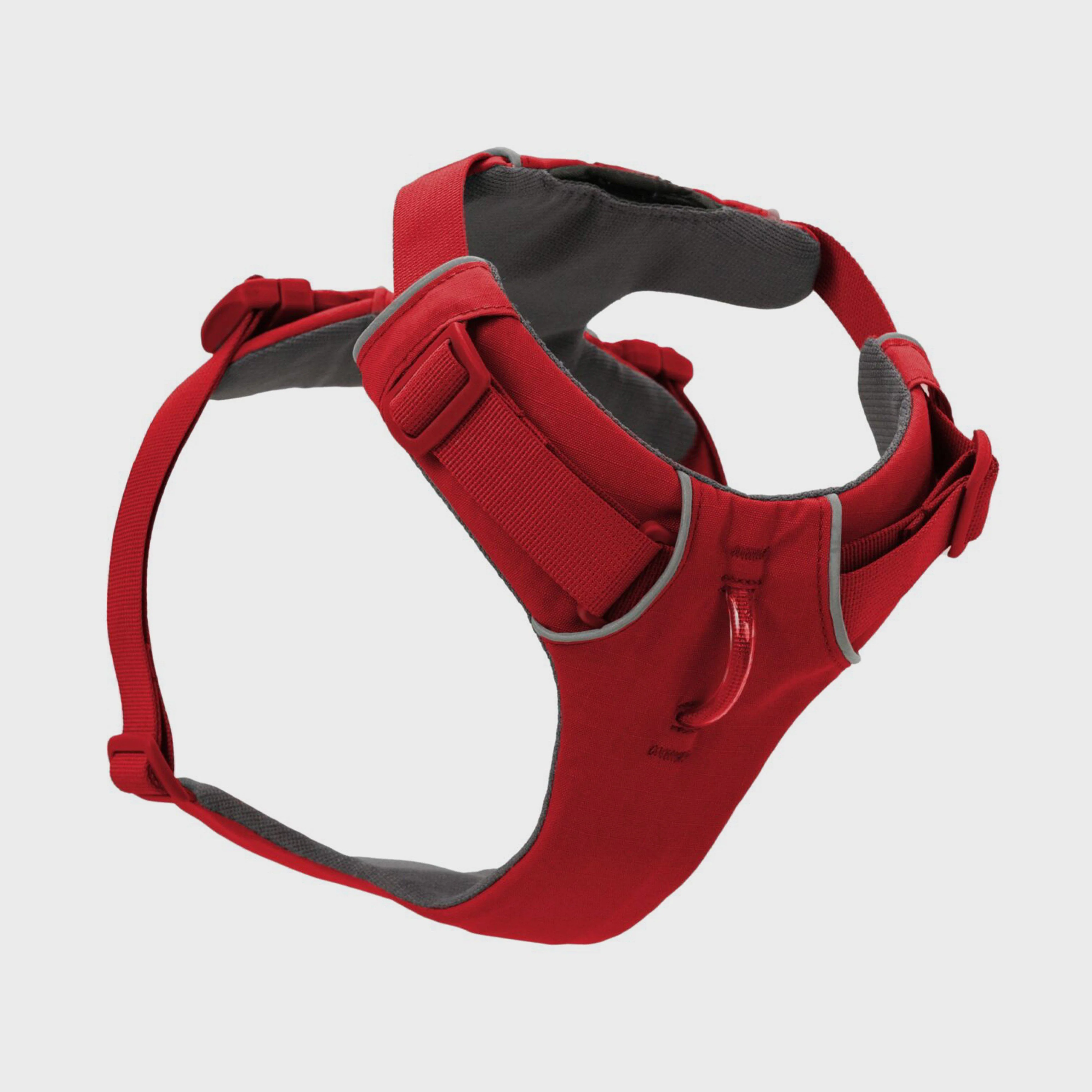 Front Range Dog Harness Red Sumac - Image 4