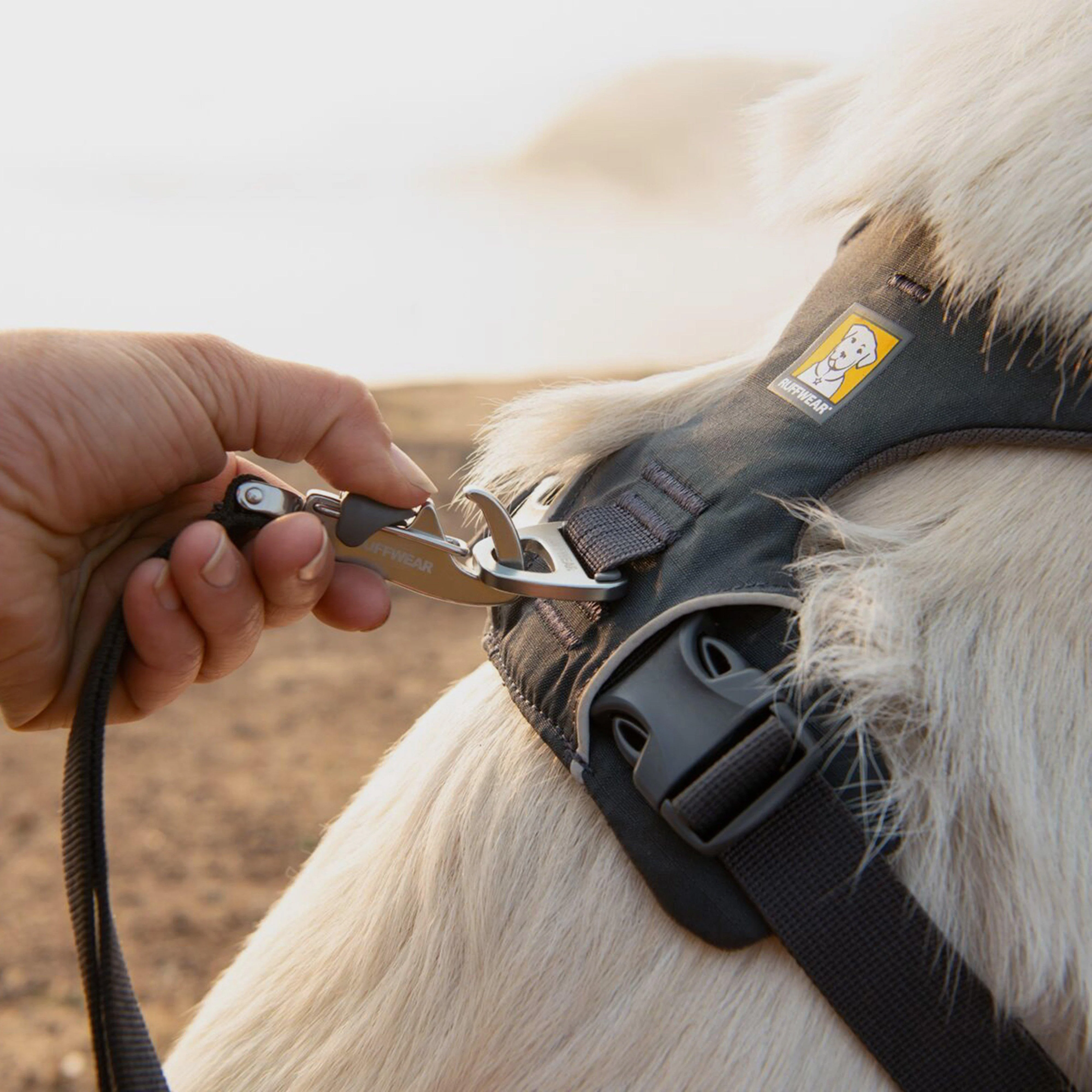 Front Range Dog Harness Red Sumac - Image 9