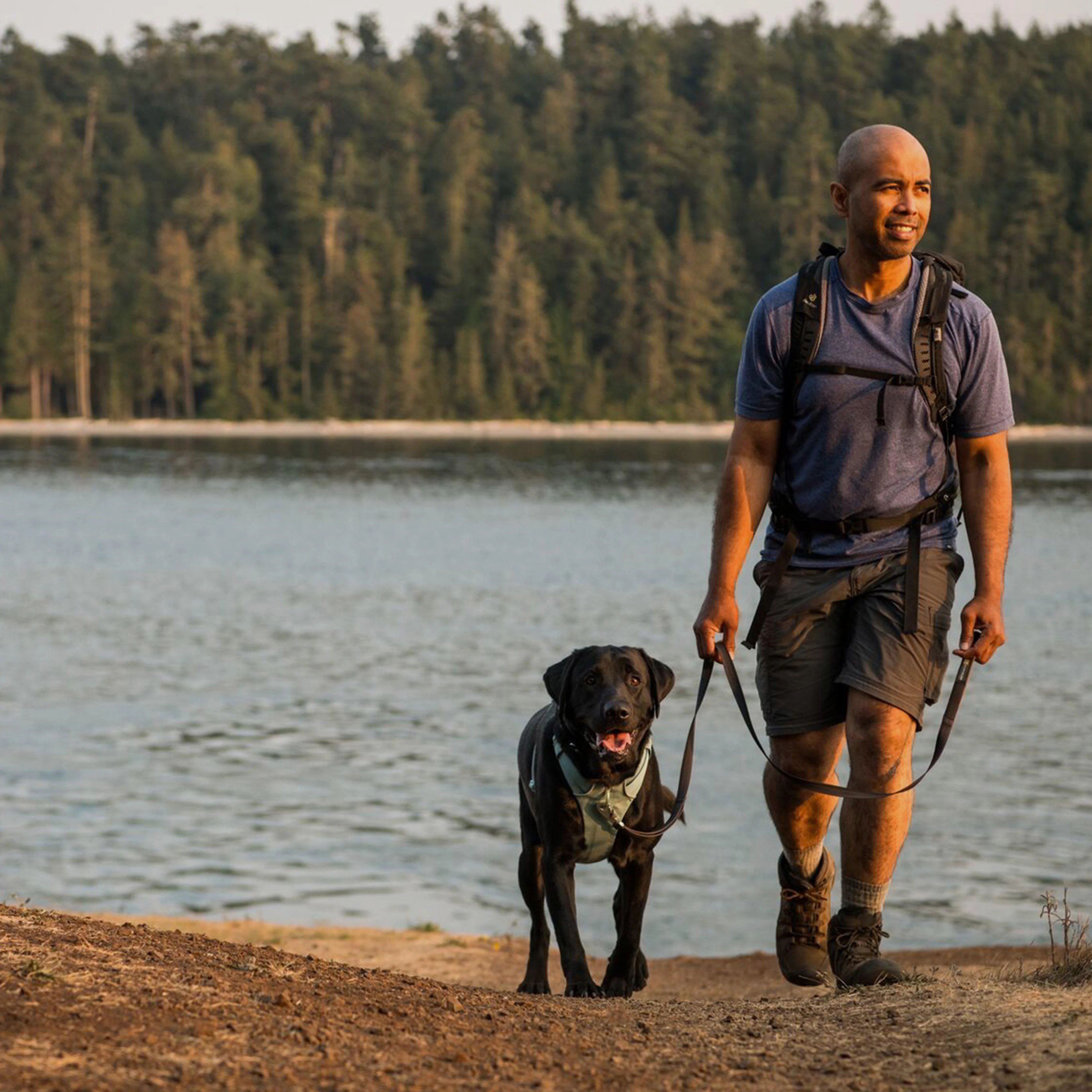 Front Range Dog Harness River Rock Green - Image 10