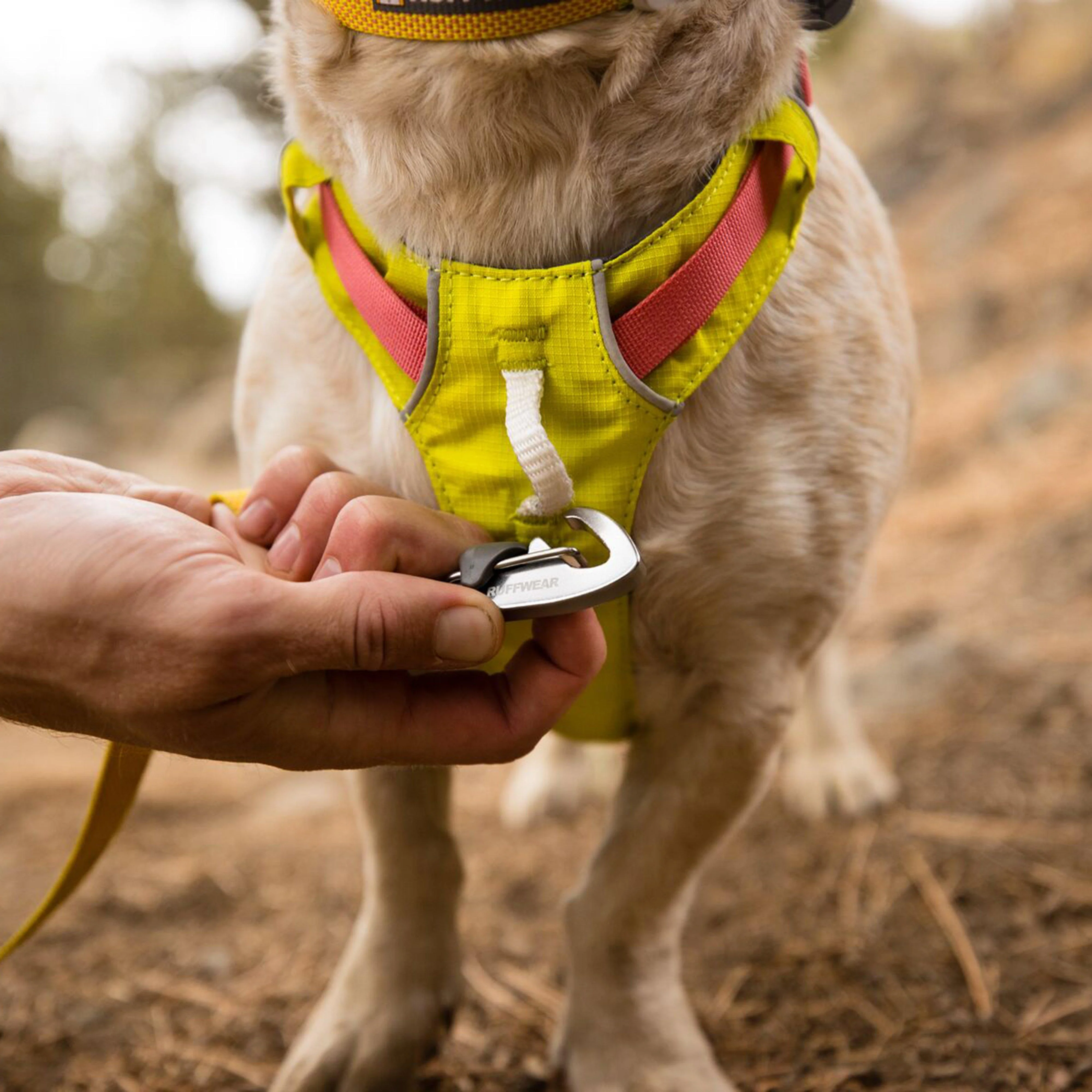 Hi Light Harness - Image 14