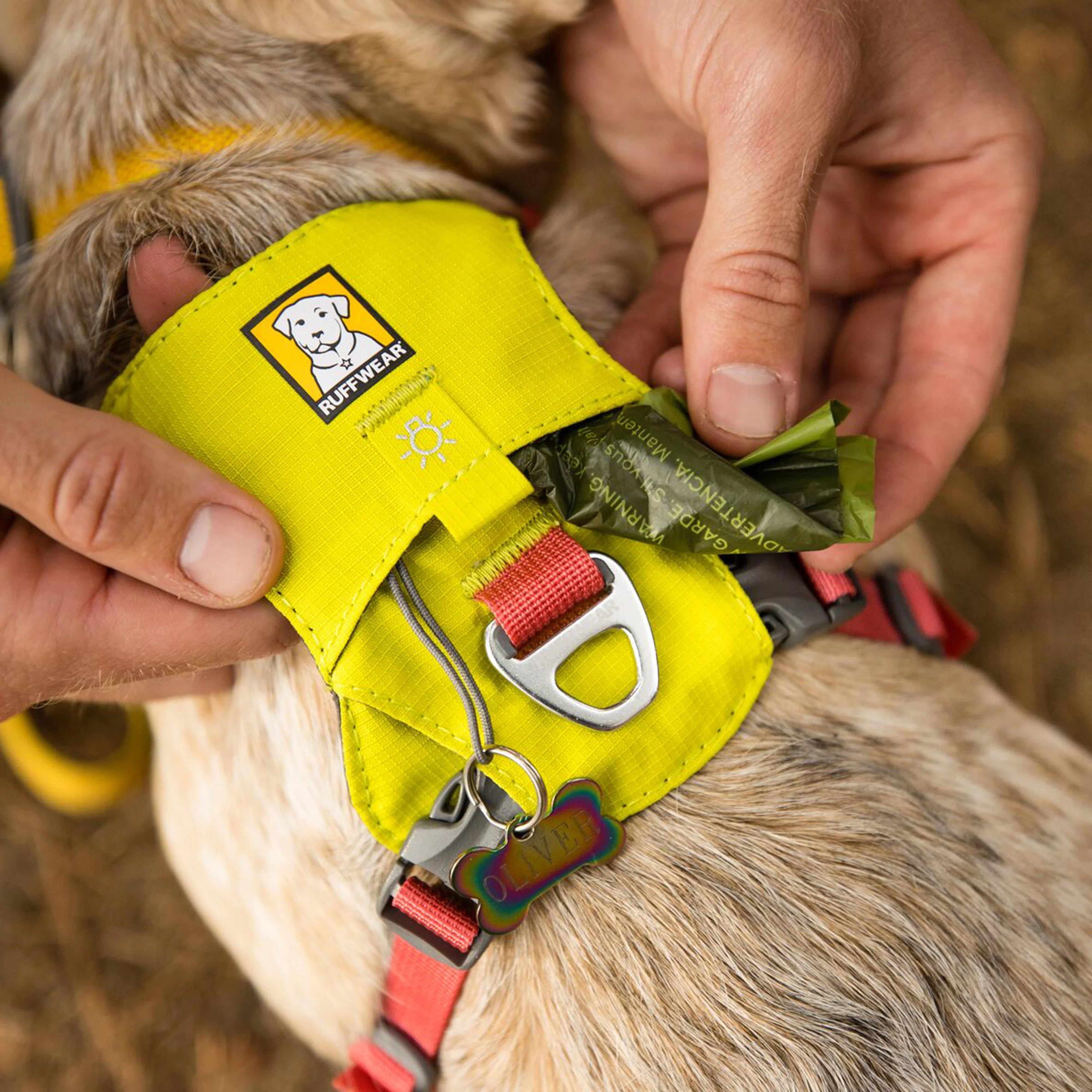 Hi Light Harness - Image 21