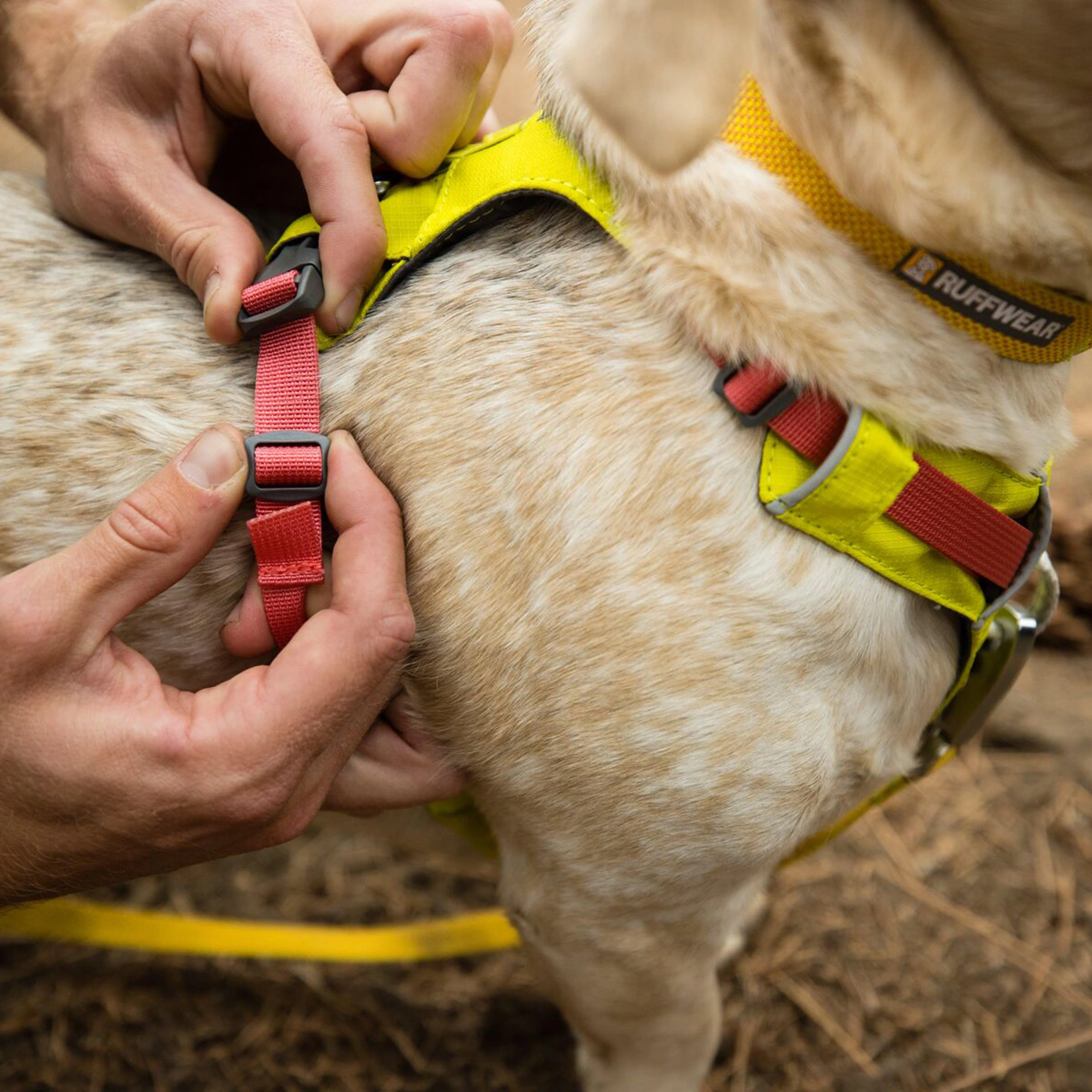 Hi Light Harness - Image 22