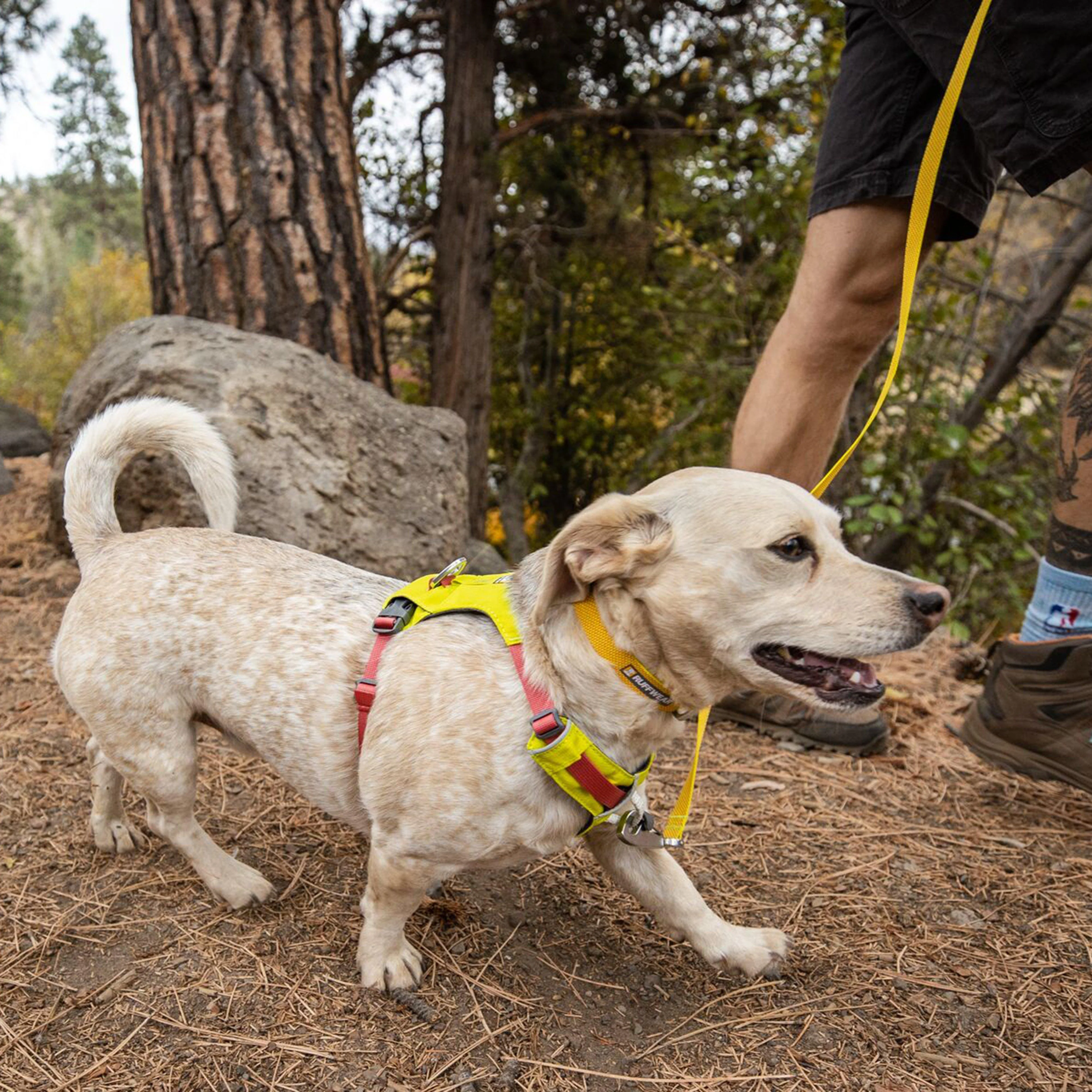 Hi Light Harness - Image 24