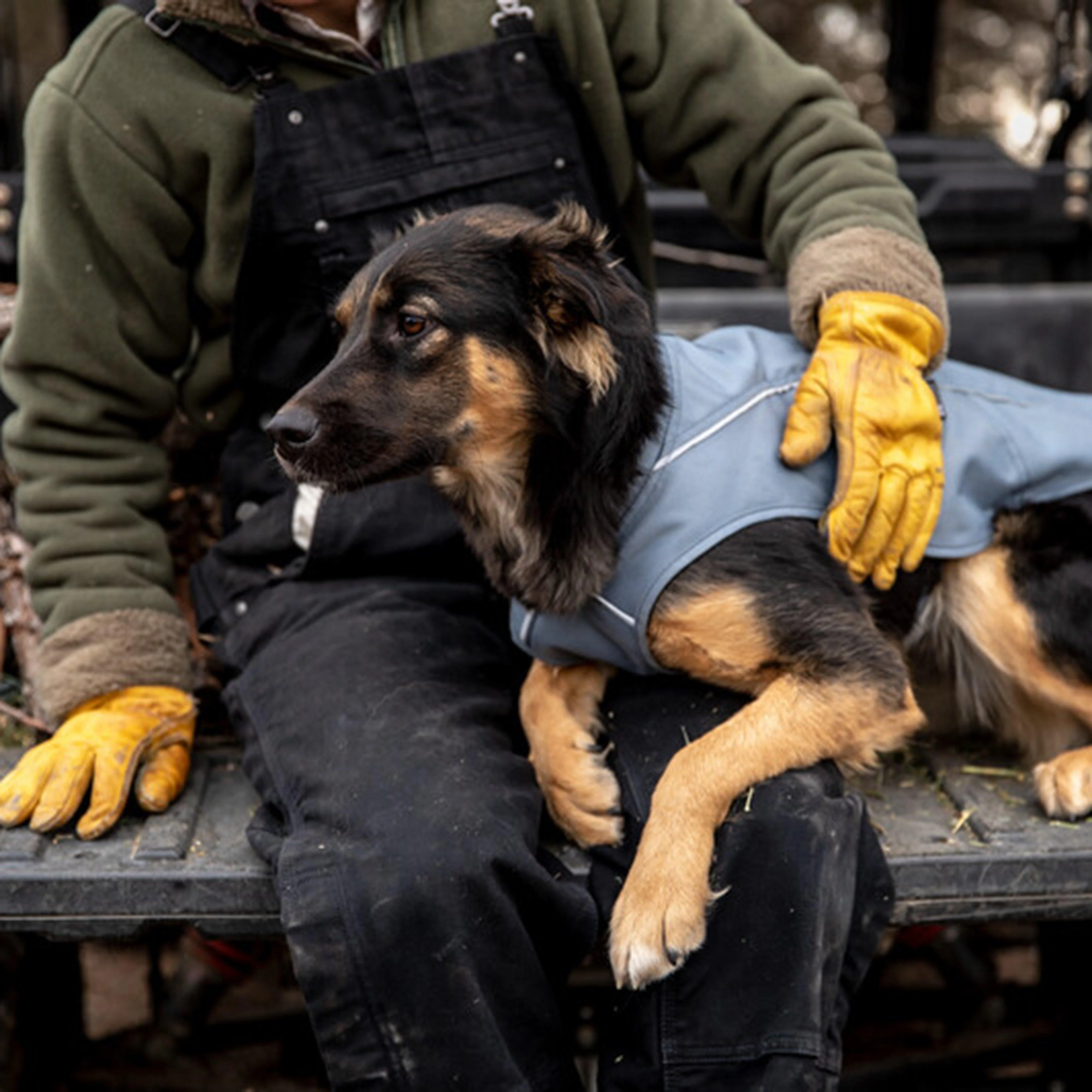 Overcoat Dog Jacket - Image 5