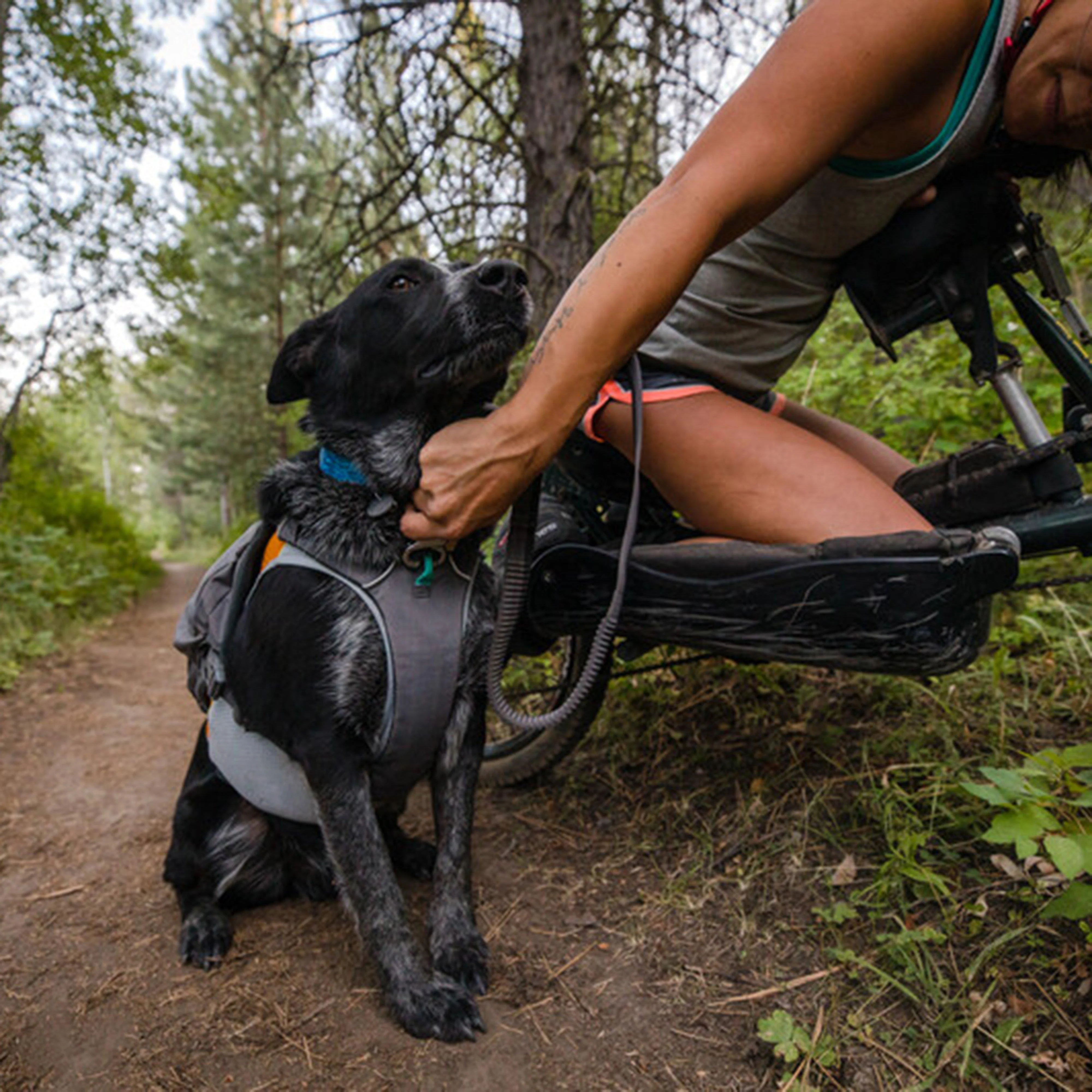 Roamer™ Dog Lead - Image 4