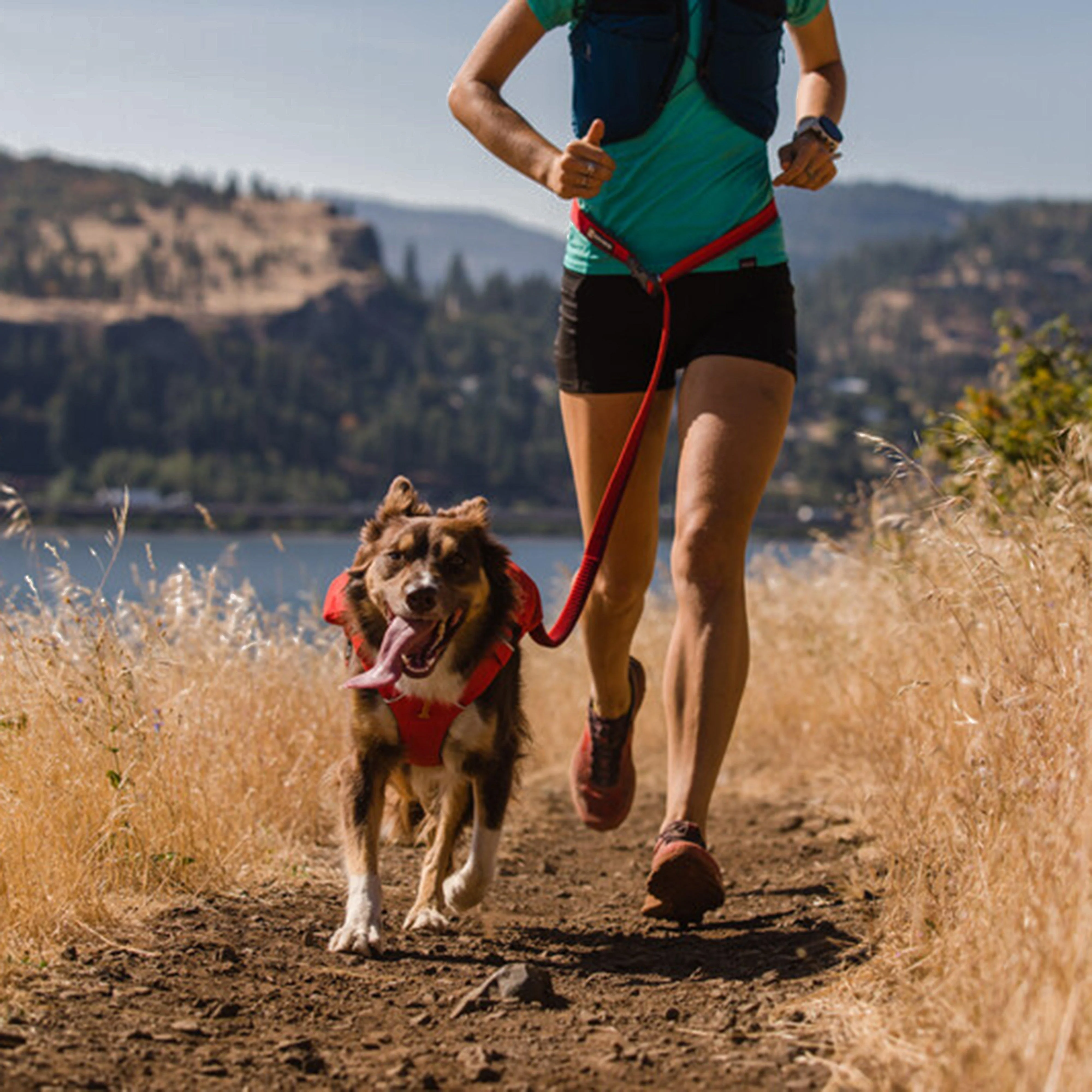 Roamer™ Dog Lead - Image 5