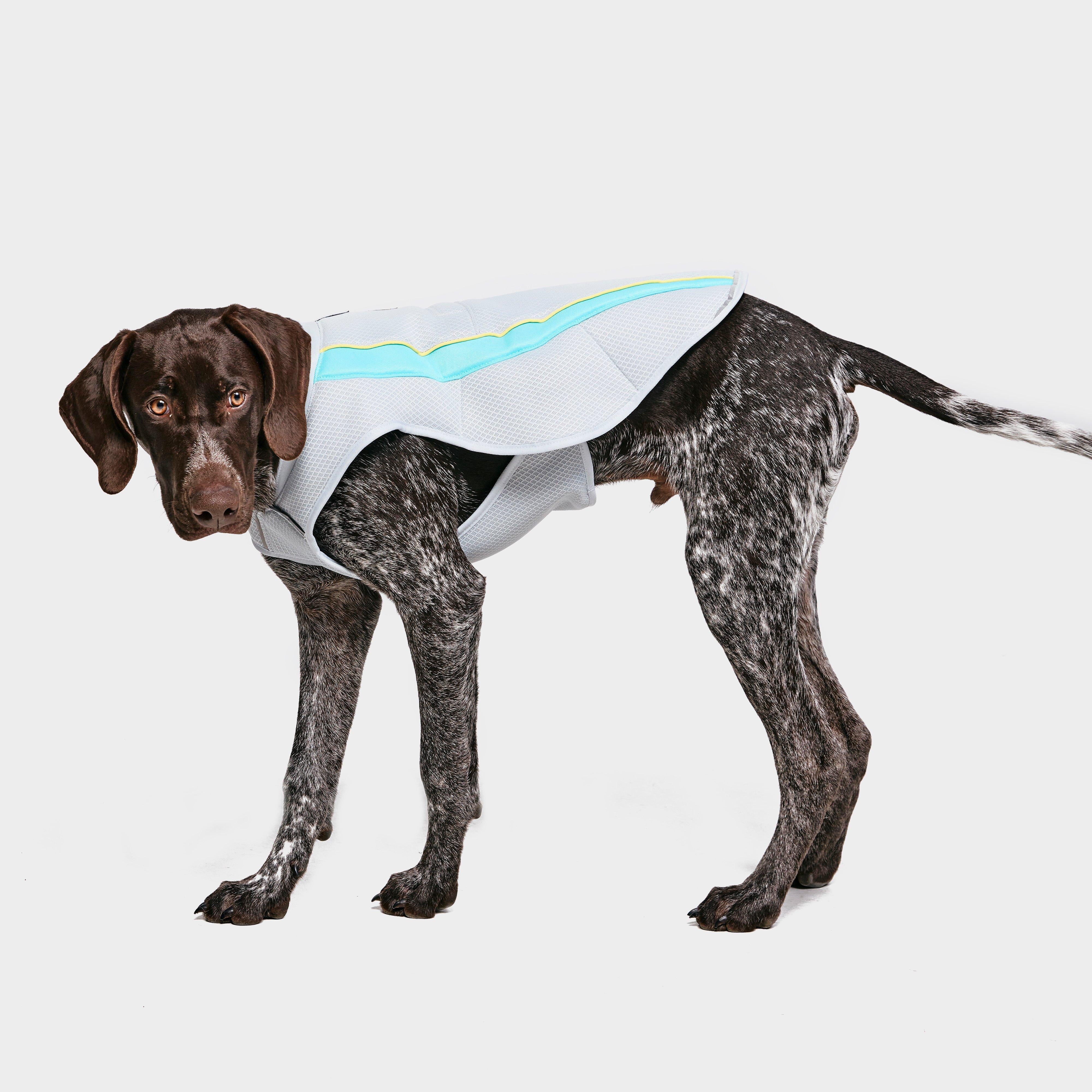 Swamp CoolerTM Vest - Image 2