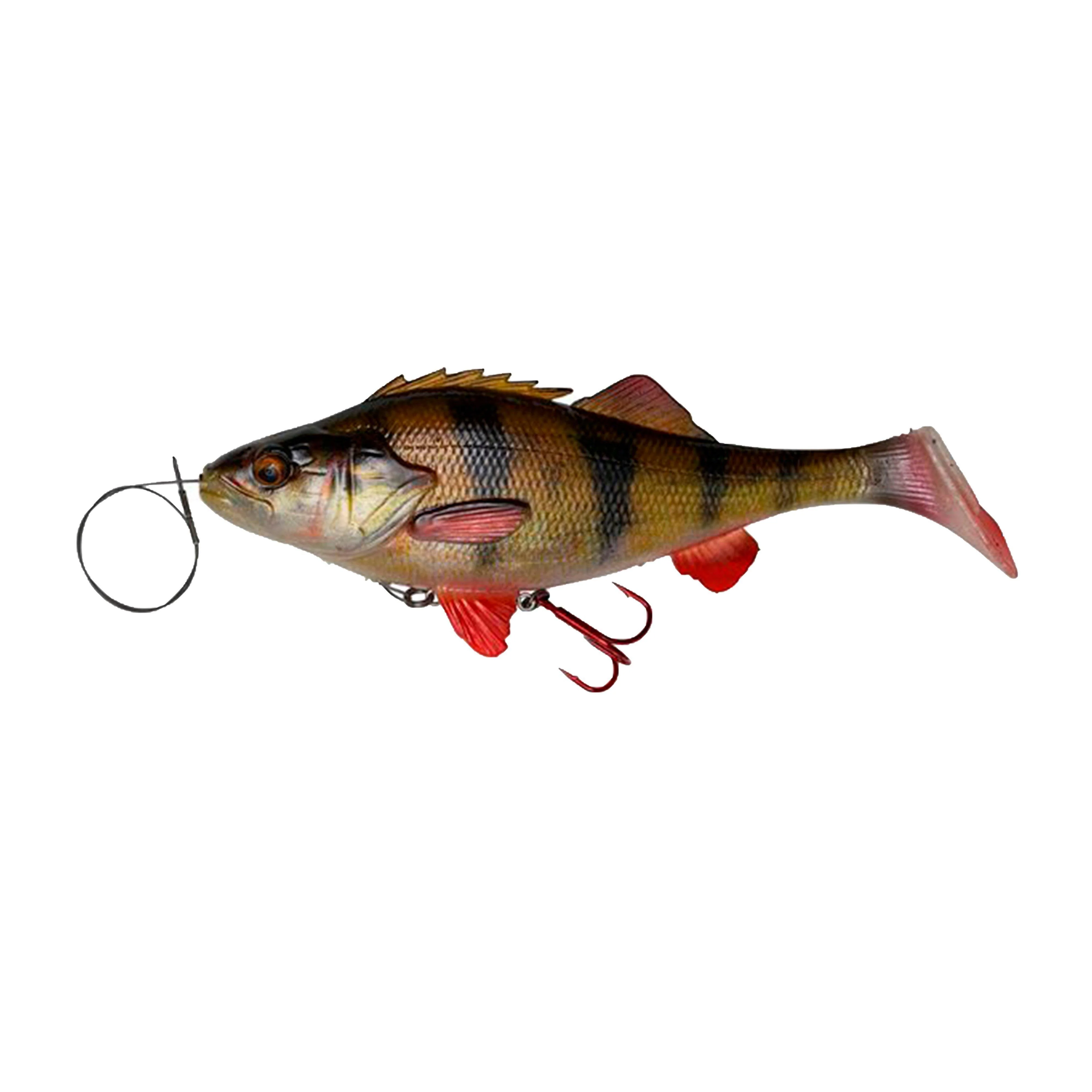 4D Perch Shad 212.5cm 25g - Image 2