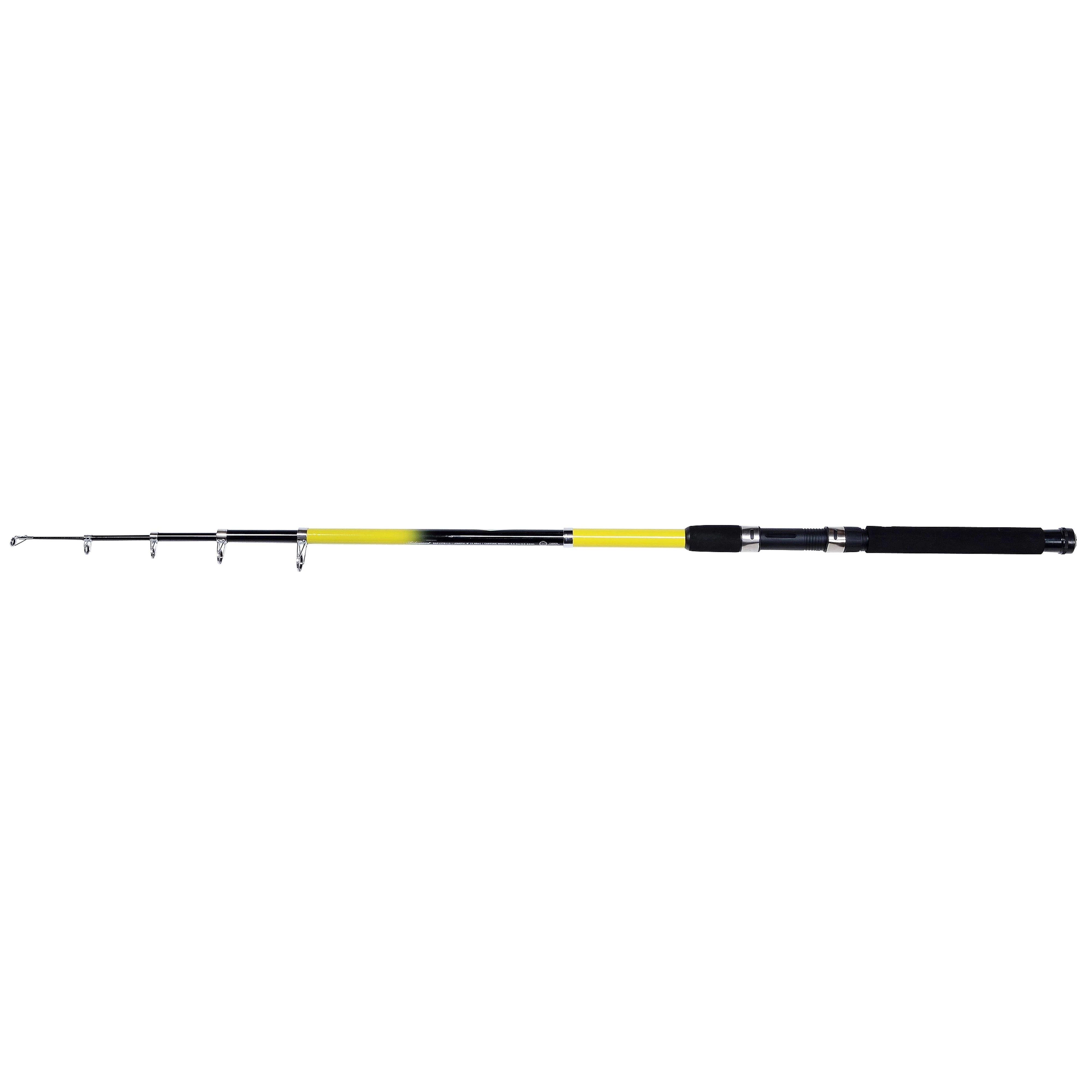 Beta Telescopic Rod (8ft) - Image 2