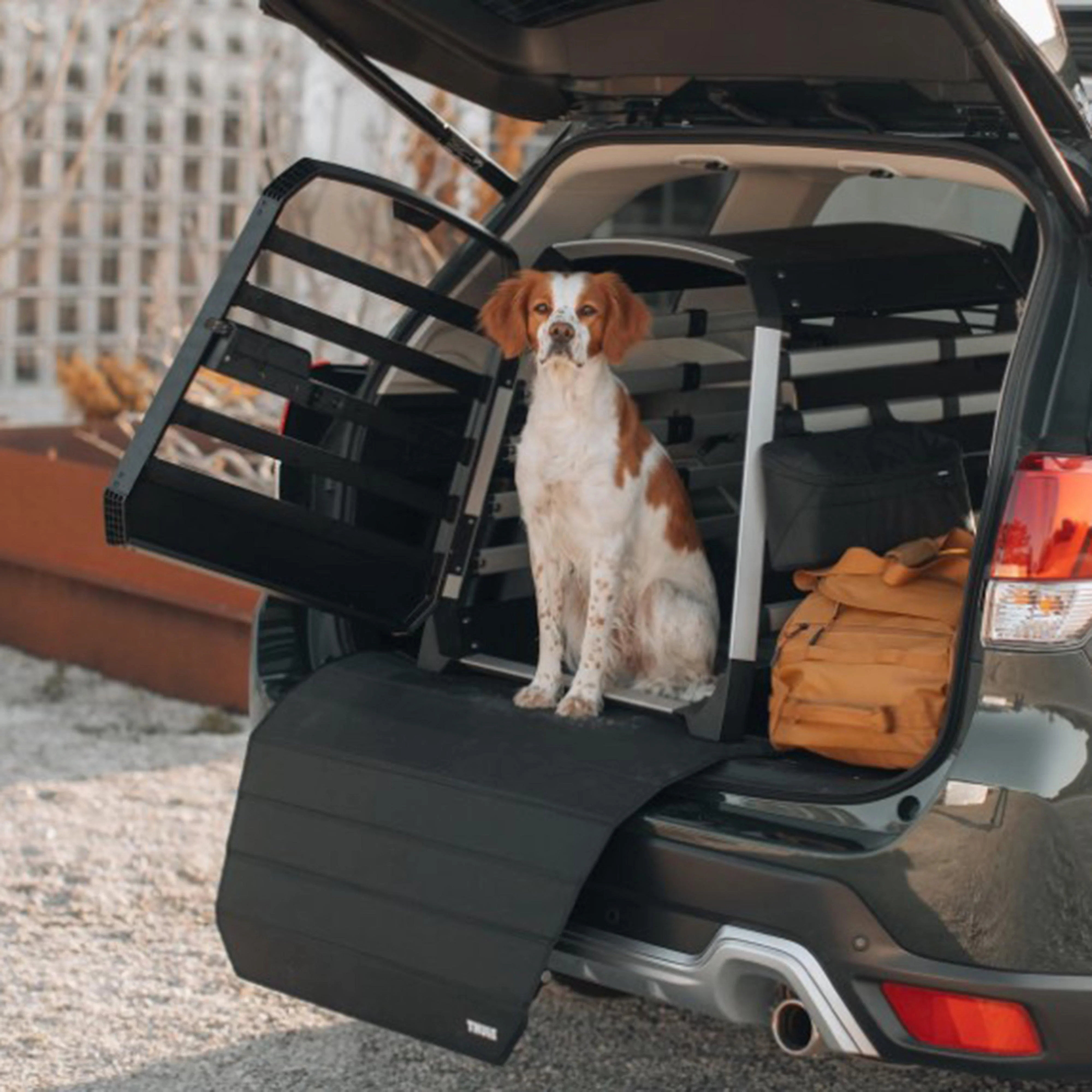 Allax Extra Small Compact Dog Crate - Image 5