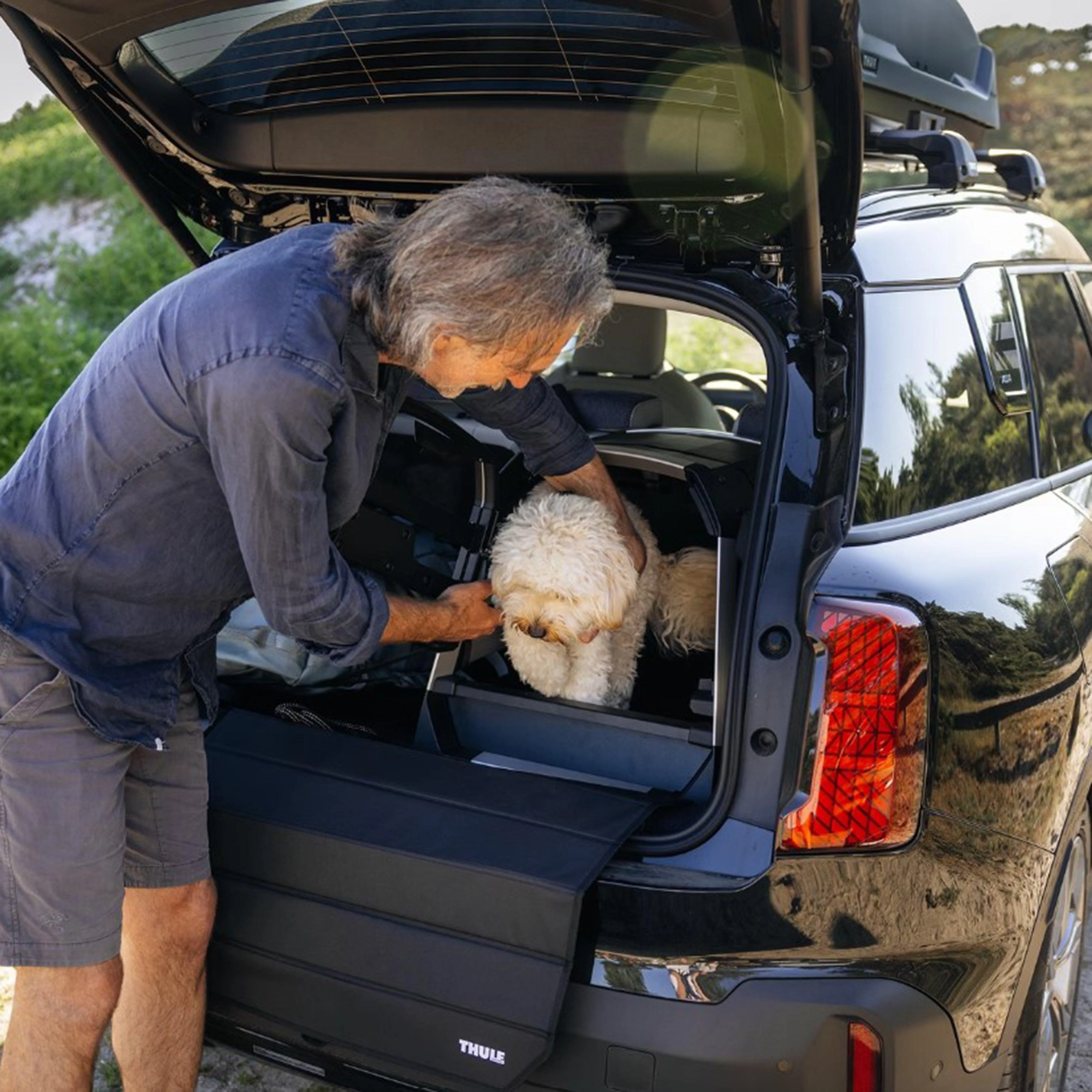 Allax Threshold Compatible Dog Car Crate S - Image 5