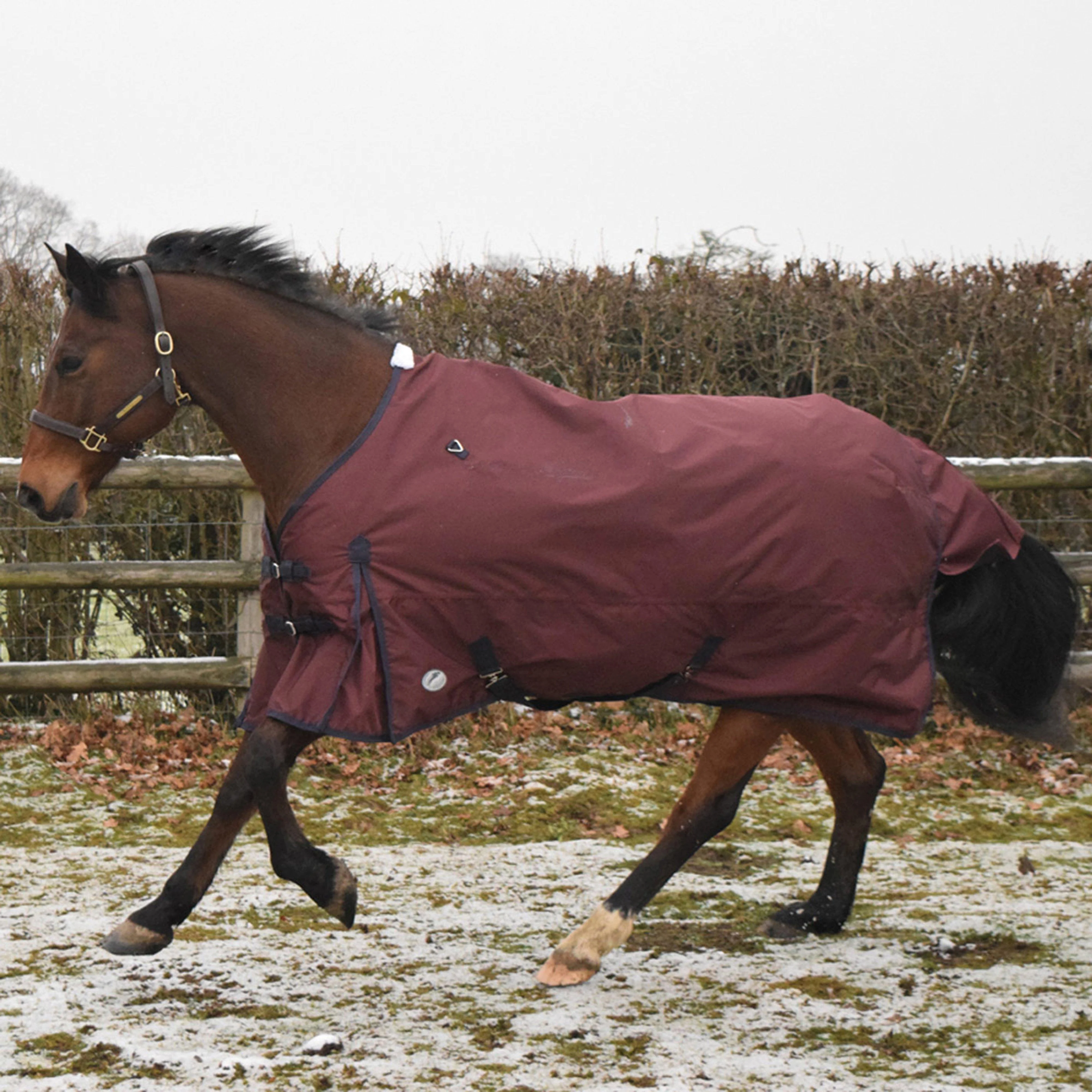 JHL Essential Turnout Rug - Image 2