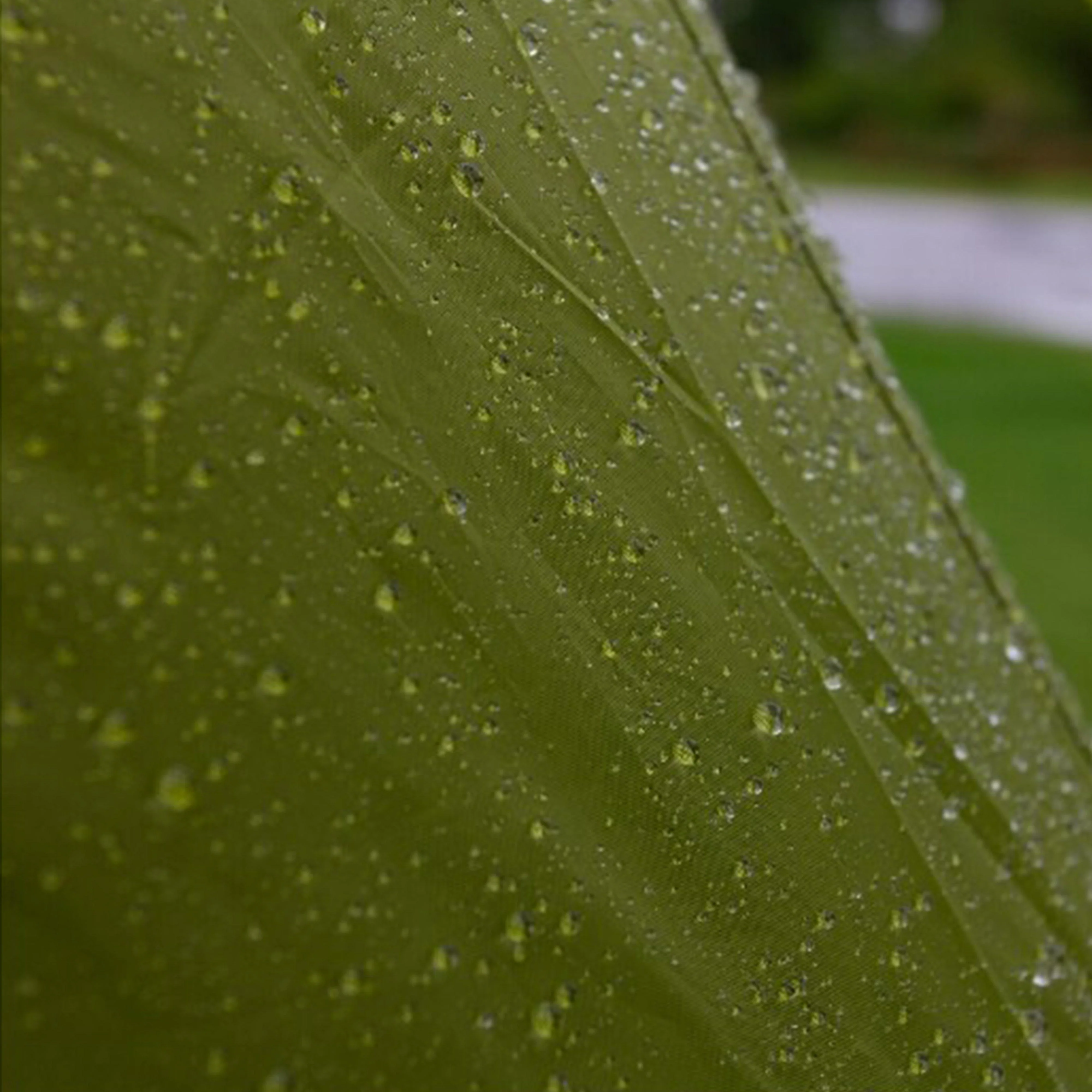 Icarus 600DXL Tent - Image 6