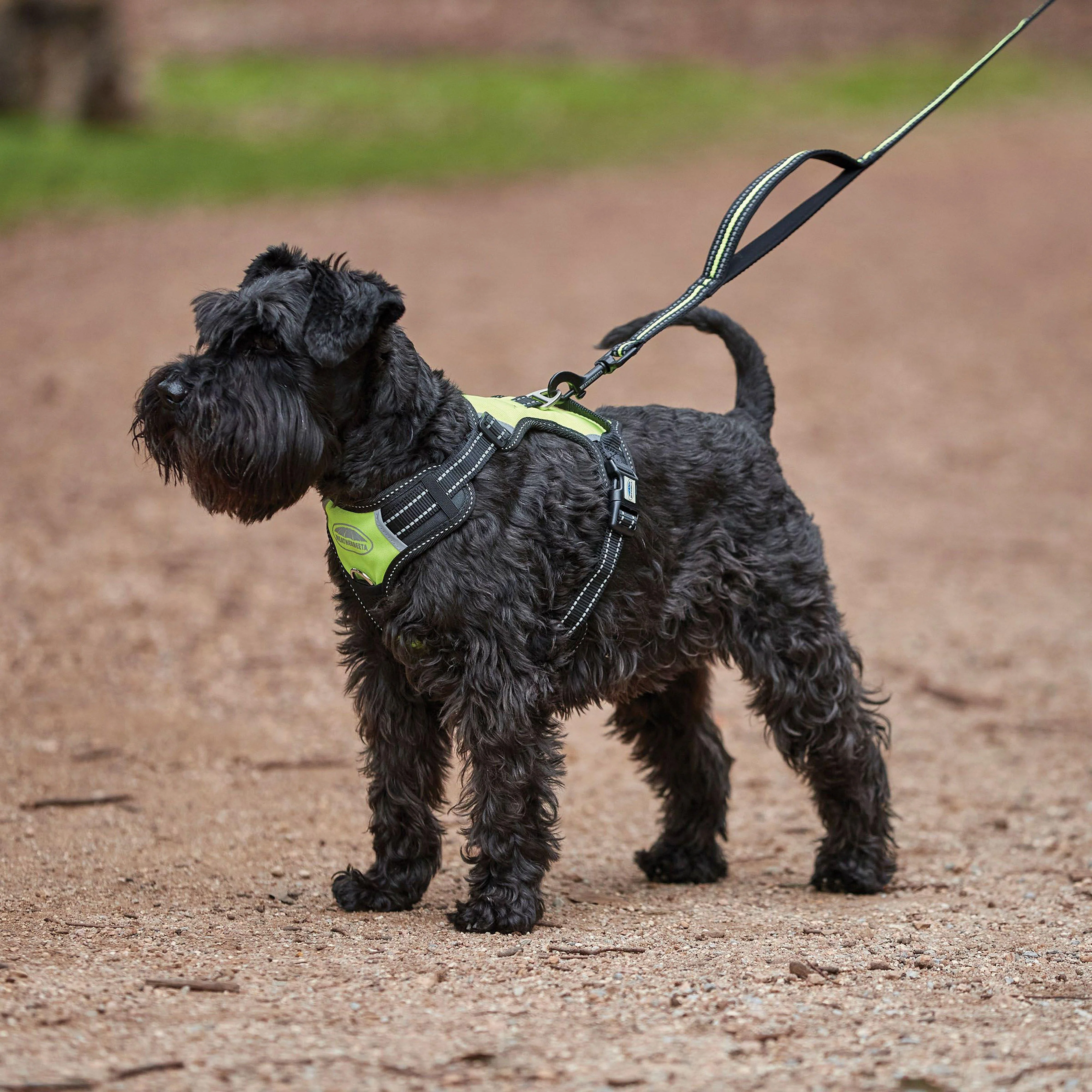 Anti-Pull/Travel Dog Harness - Image 3