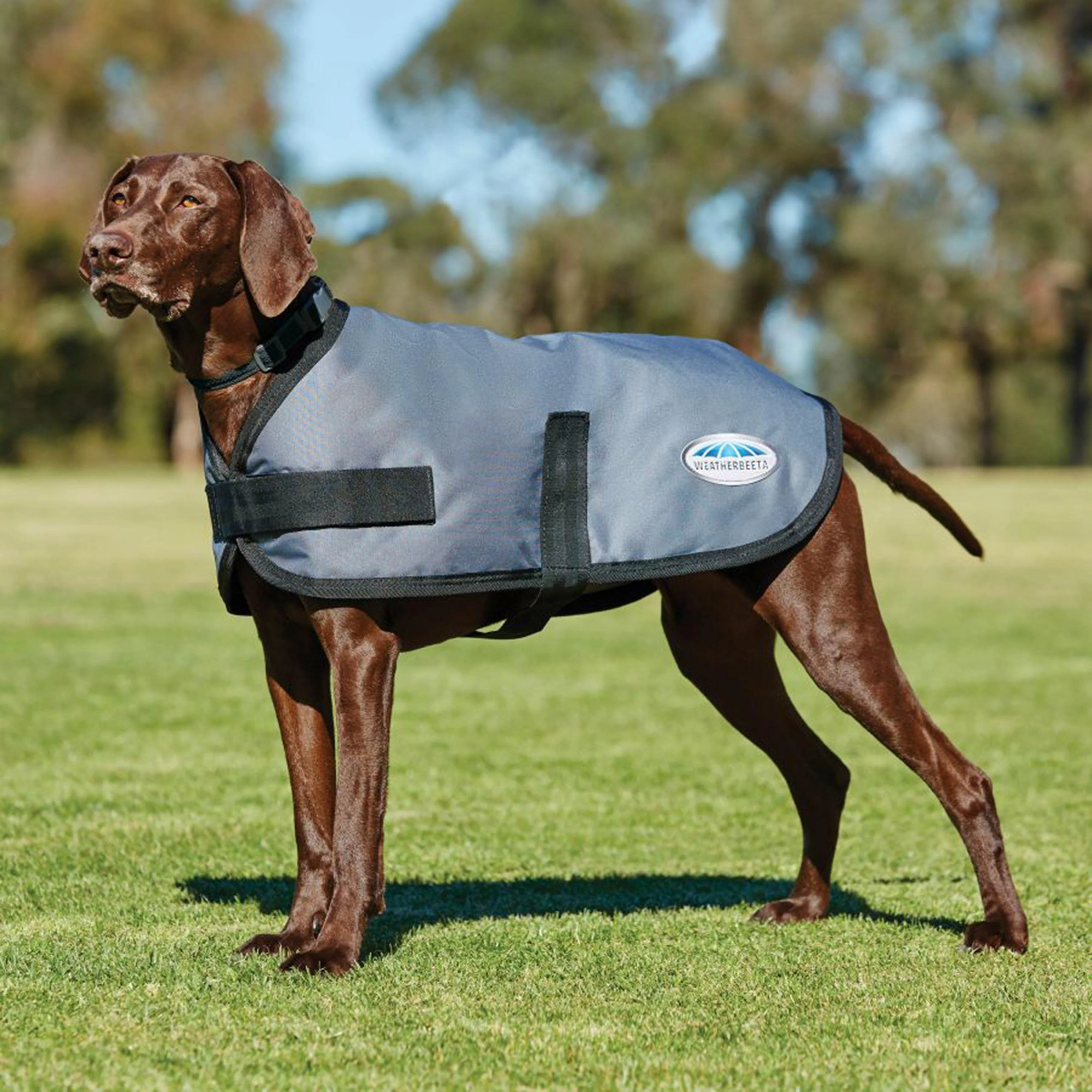 Comfitec Classic Dog Coat - Image 2