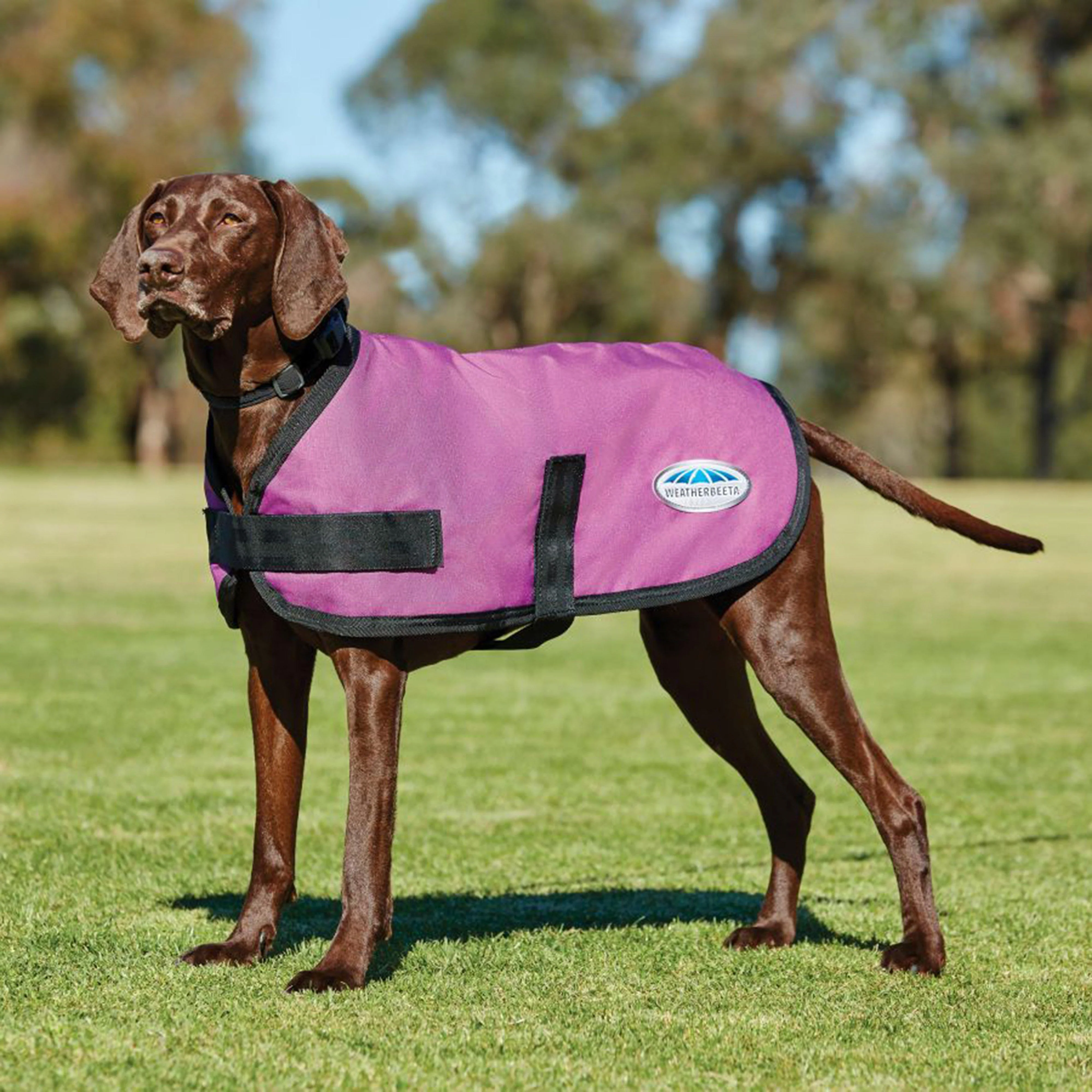 Comfitec Classic Dog Coat - Image 3