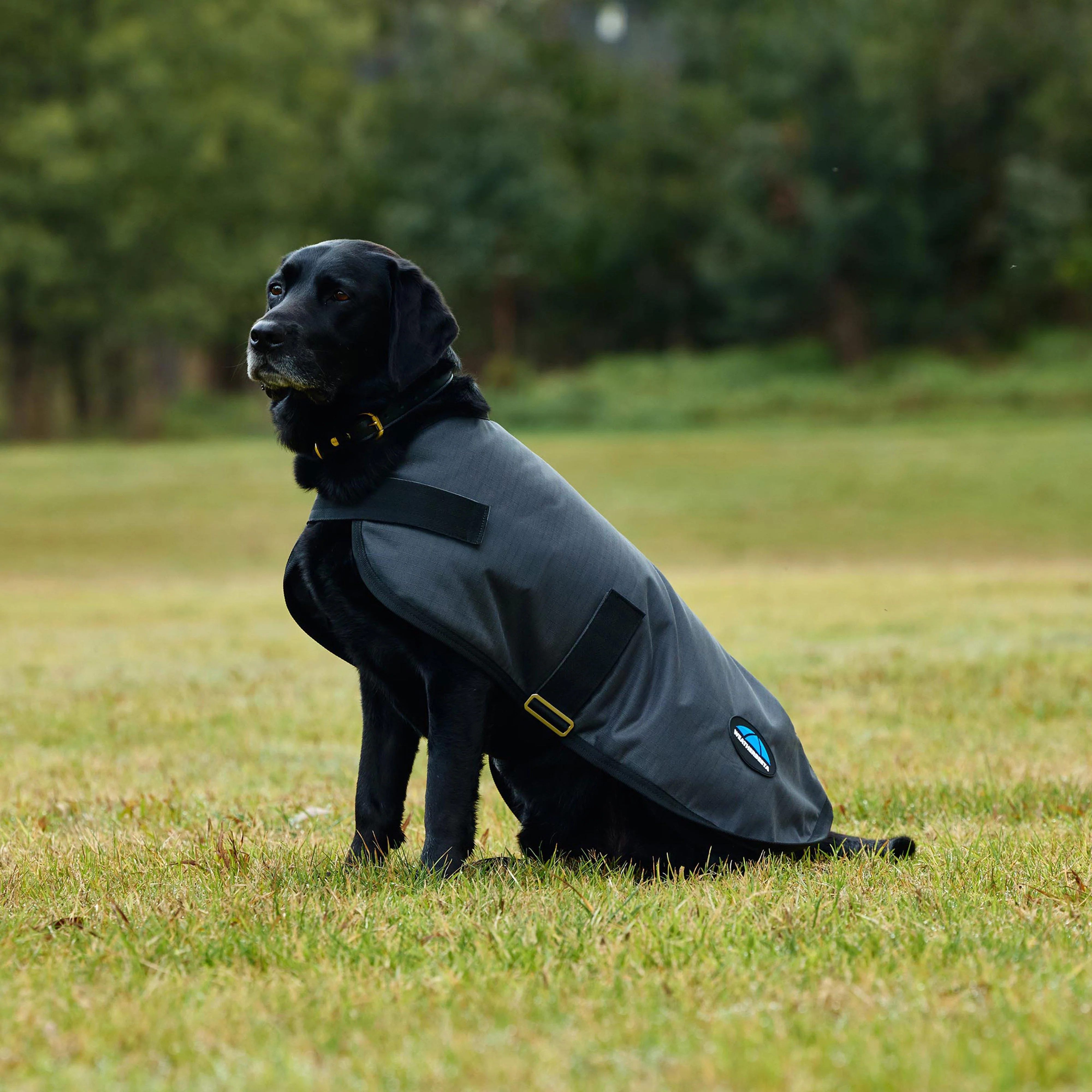 ComFiTec Classic Waterproof Dog Coat - Image 4