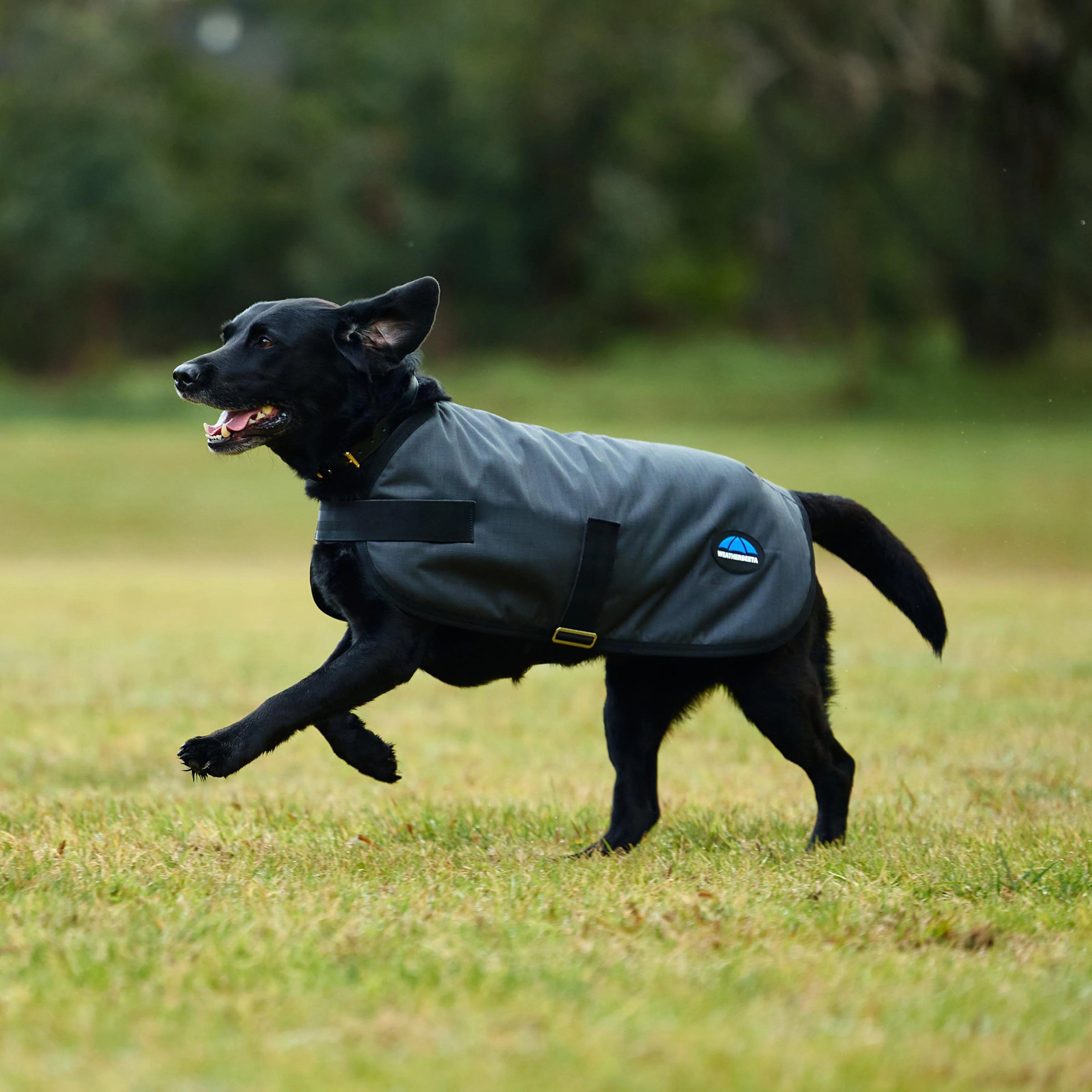 ComFiTec Classic Waterproof Dog Coat - Image 5