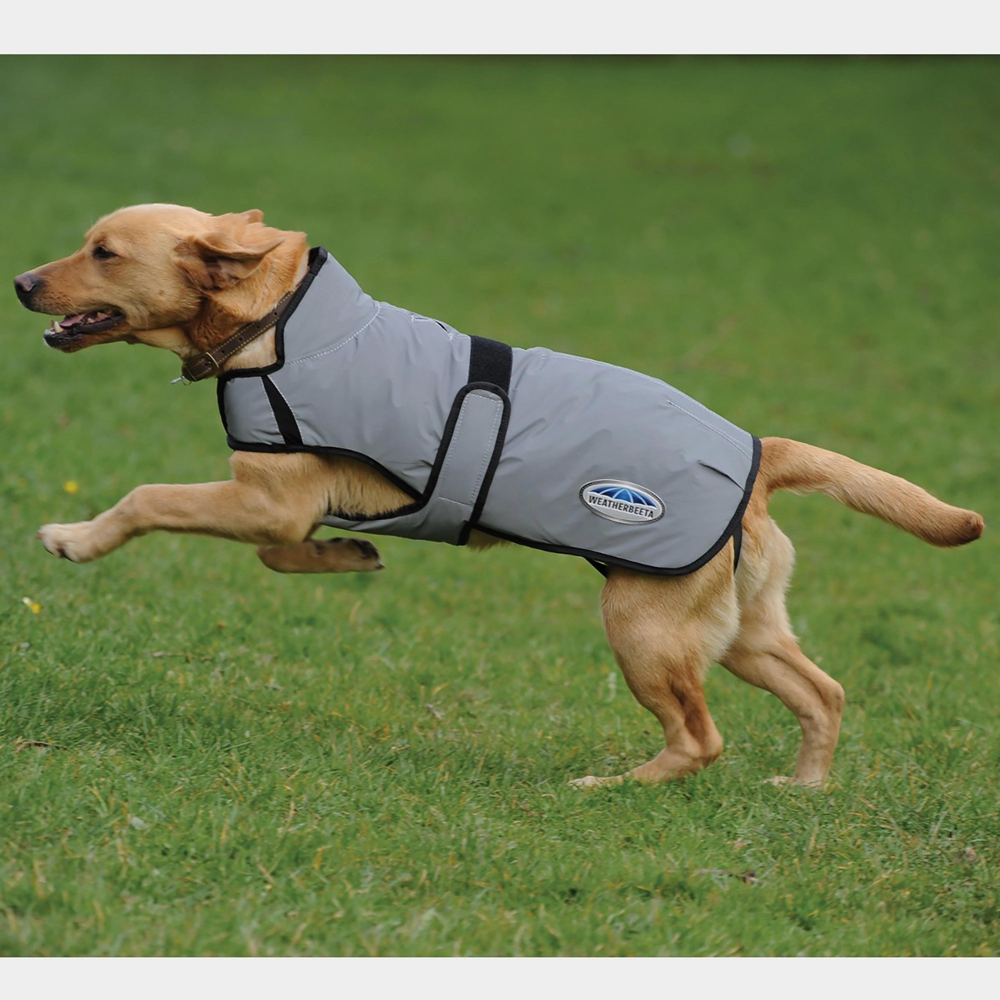 Comfitec Reflective Dog Coat Medium - Image 2