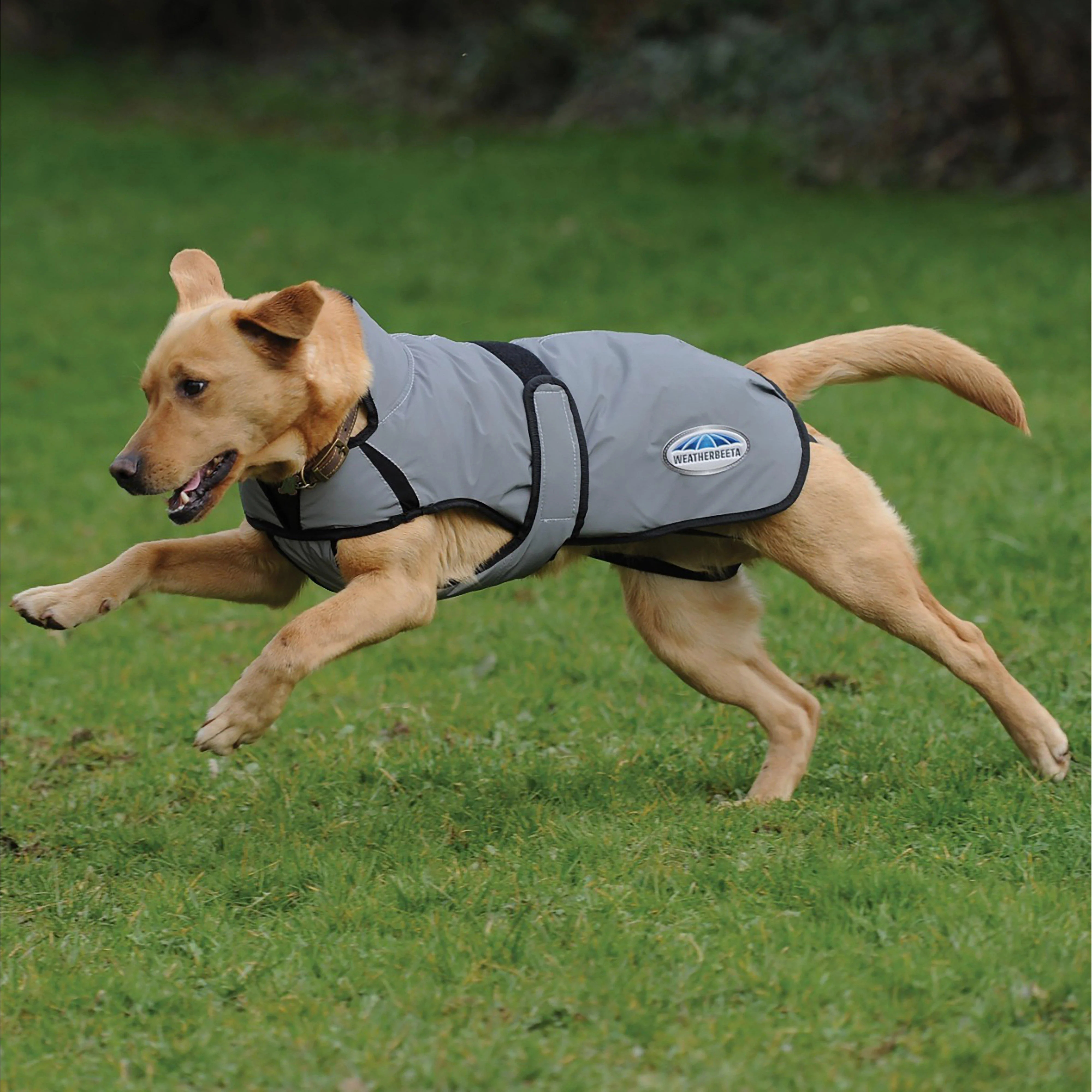 Comfitec Reflective Dog Coat Medium - Image 3