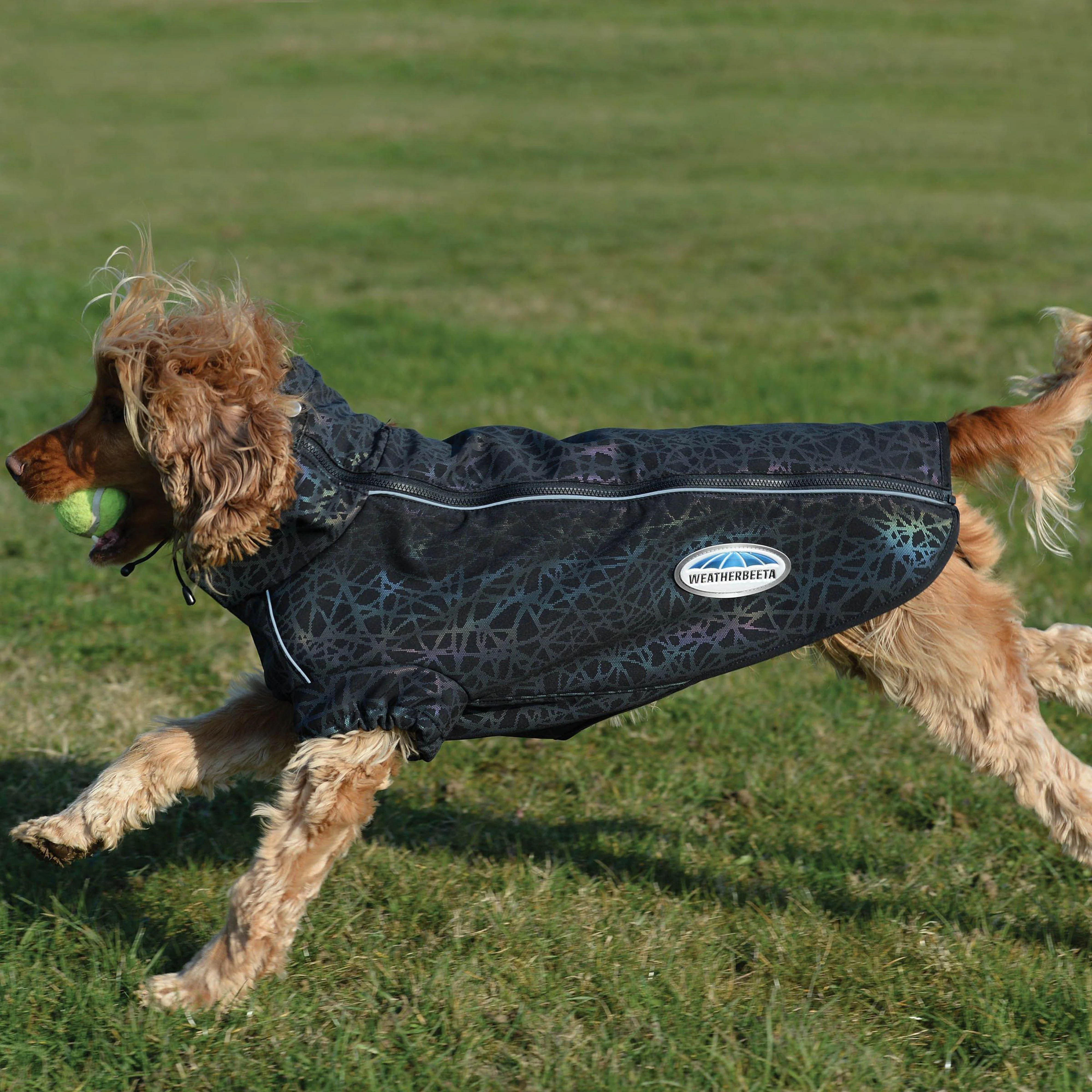 Comfitec Reflective Print Active Dog Coat - Image 2