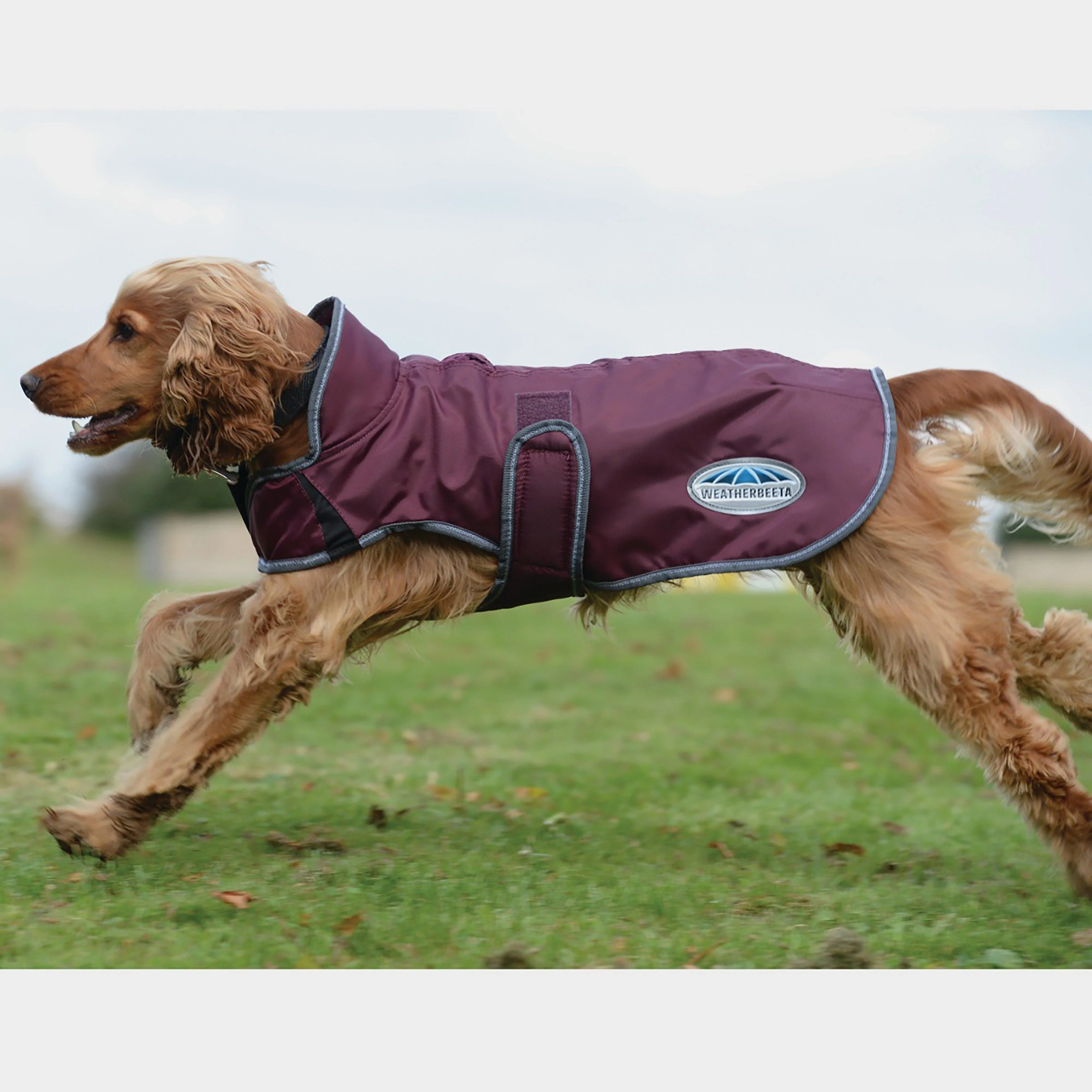 Comfitec Windbreaker Free Deluxe Dog Coat - Image 5