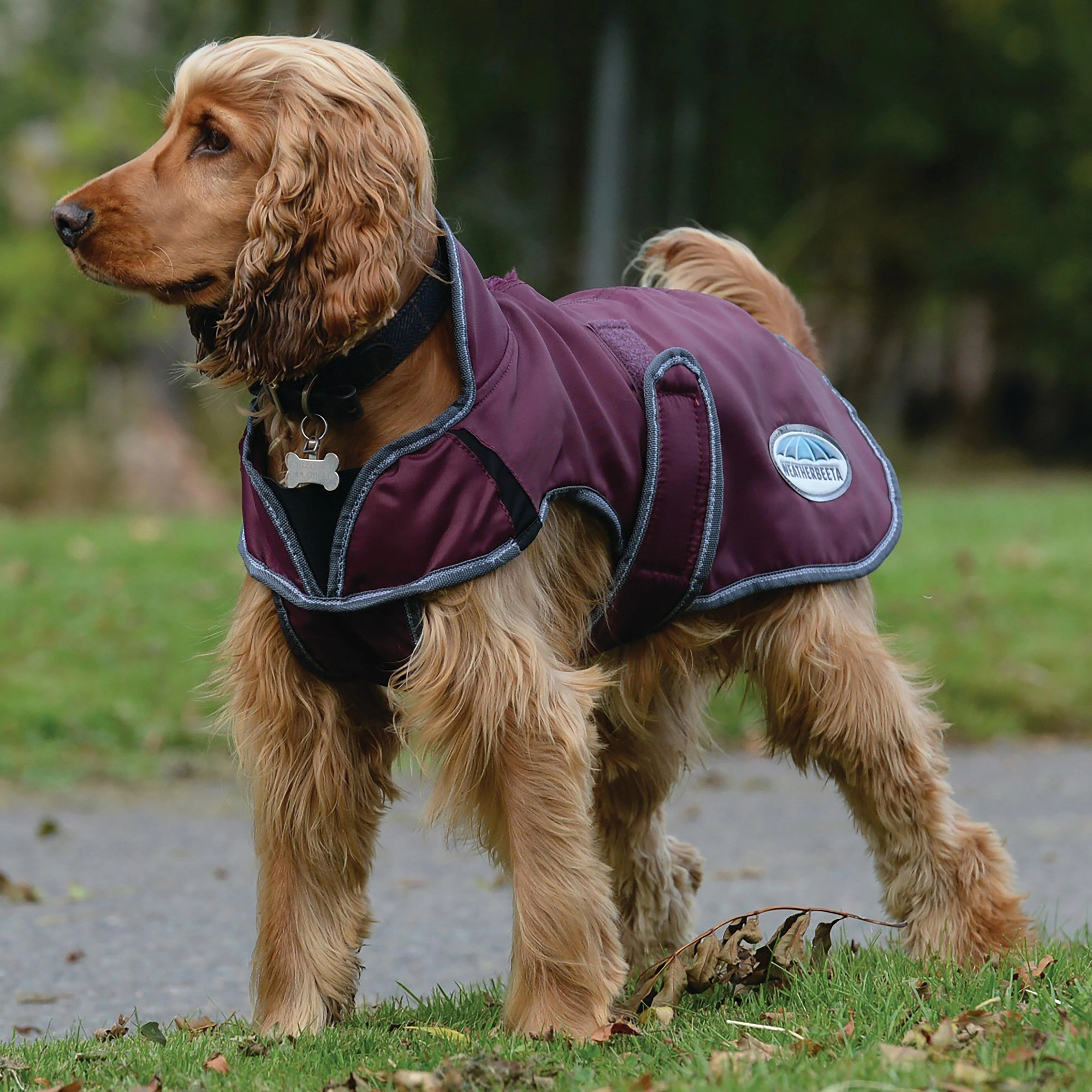 Comfitec Windbreaker Free Deluxe Dog Coat - Image 6