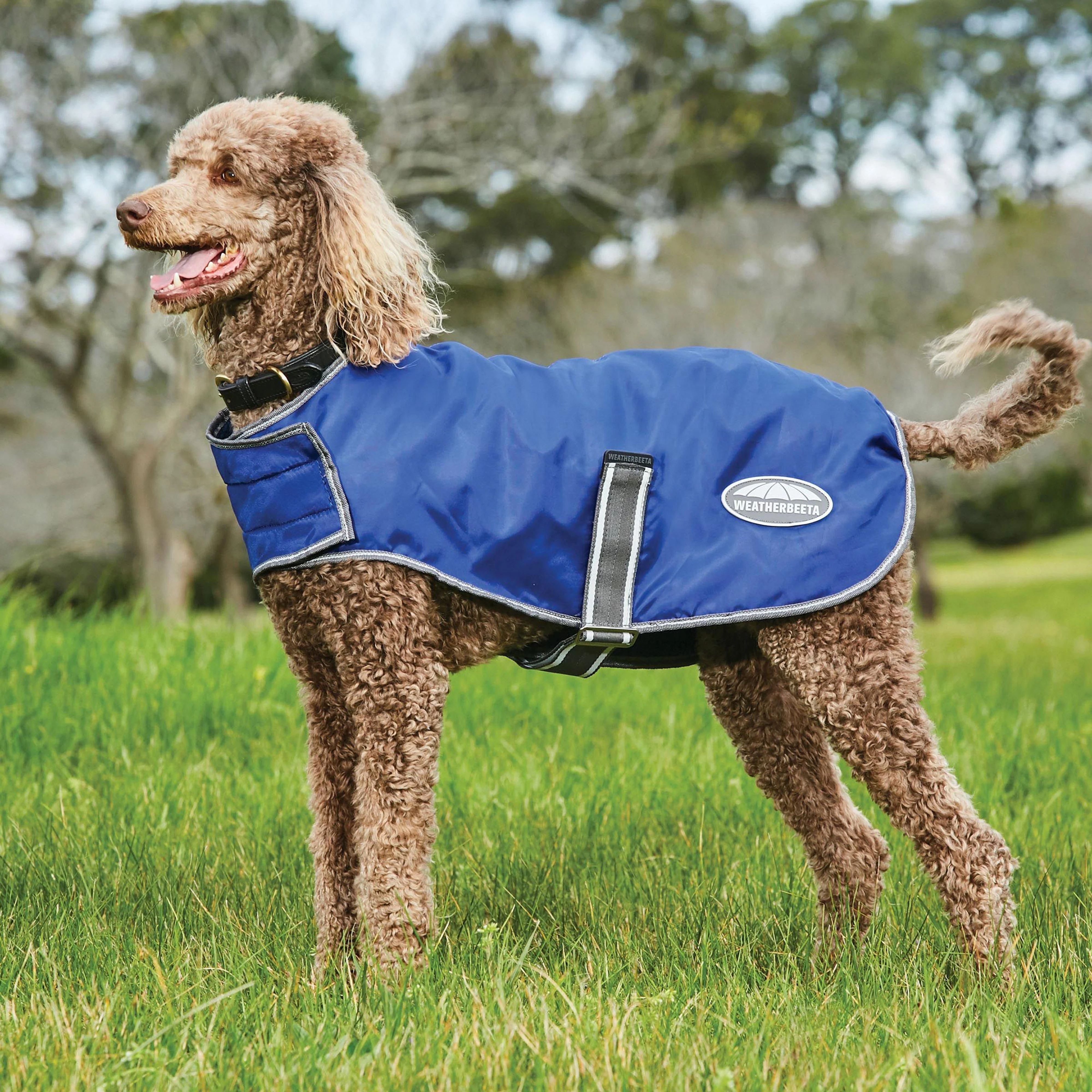 Comfitec Windbreaker Free Dog Coat - Image 4