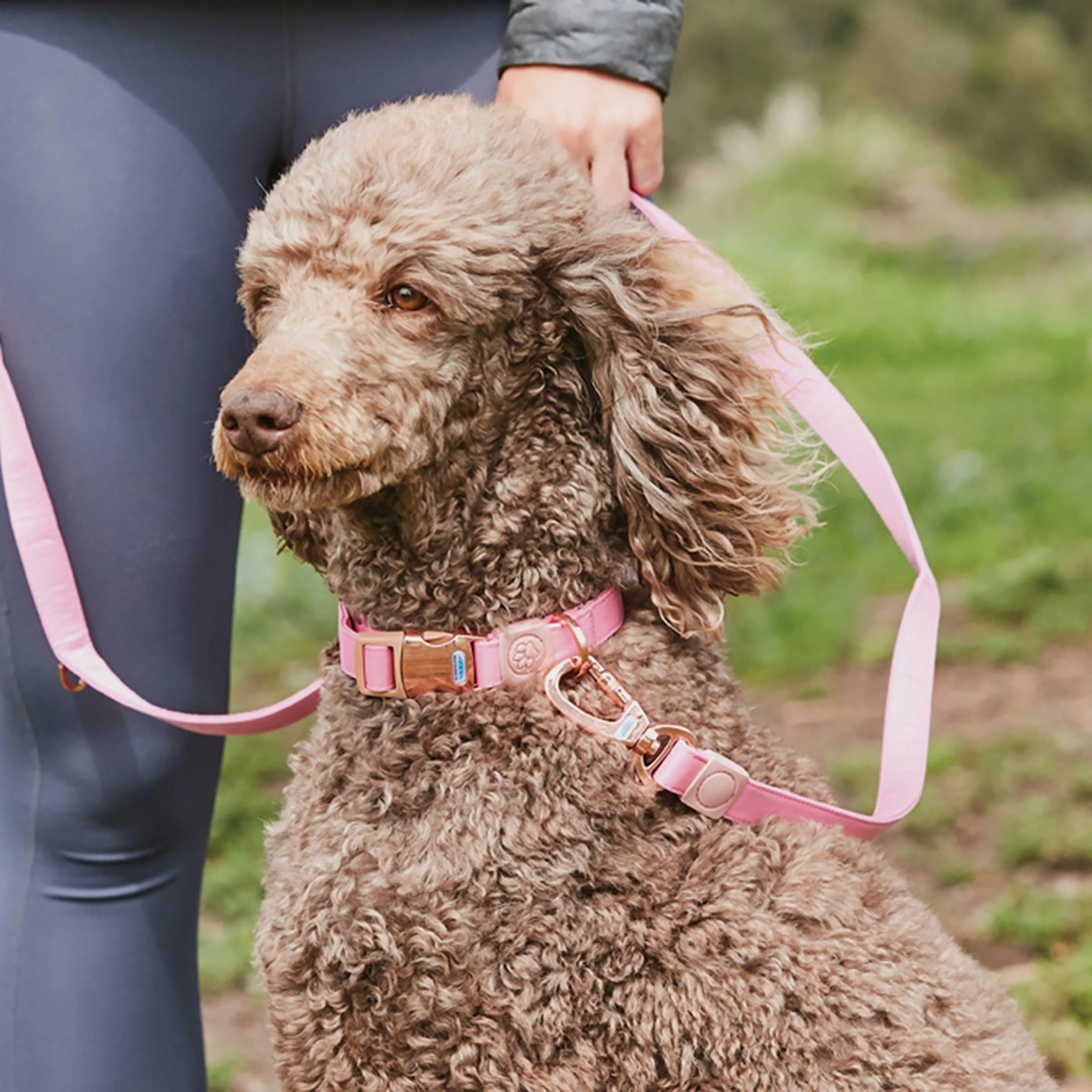 Elegance Dog Lead Pink - Image 2