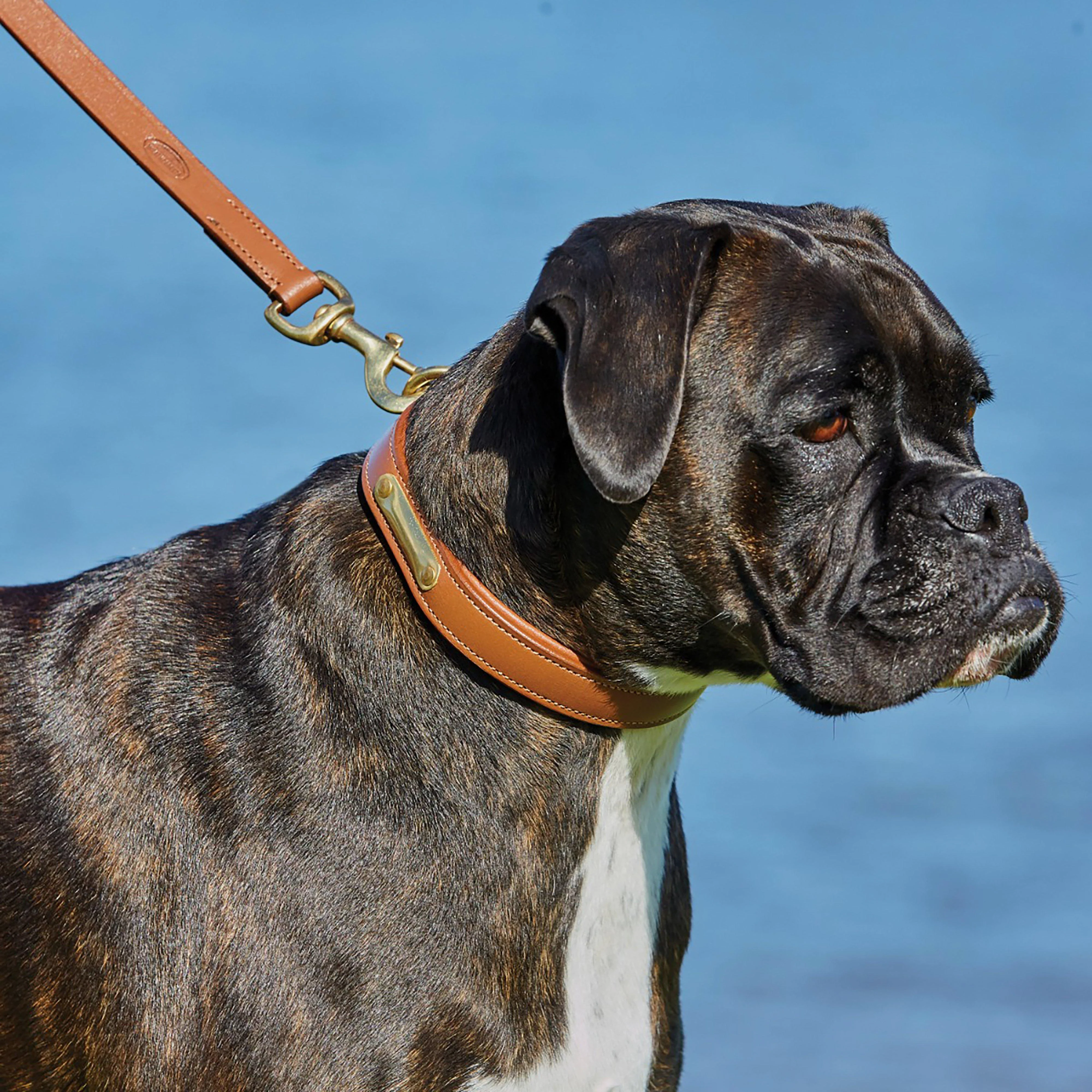 Leather Dog Lead - Image 2