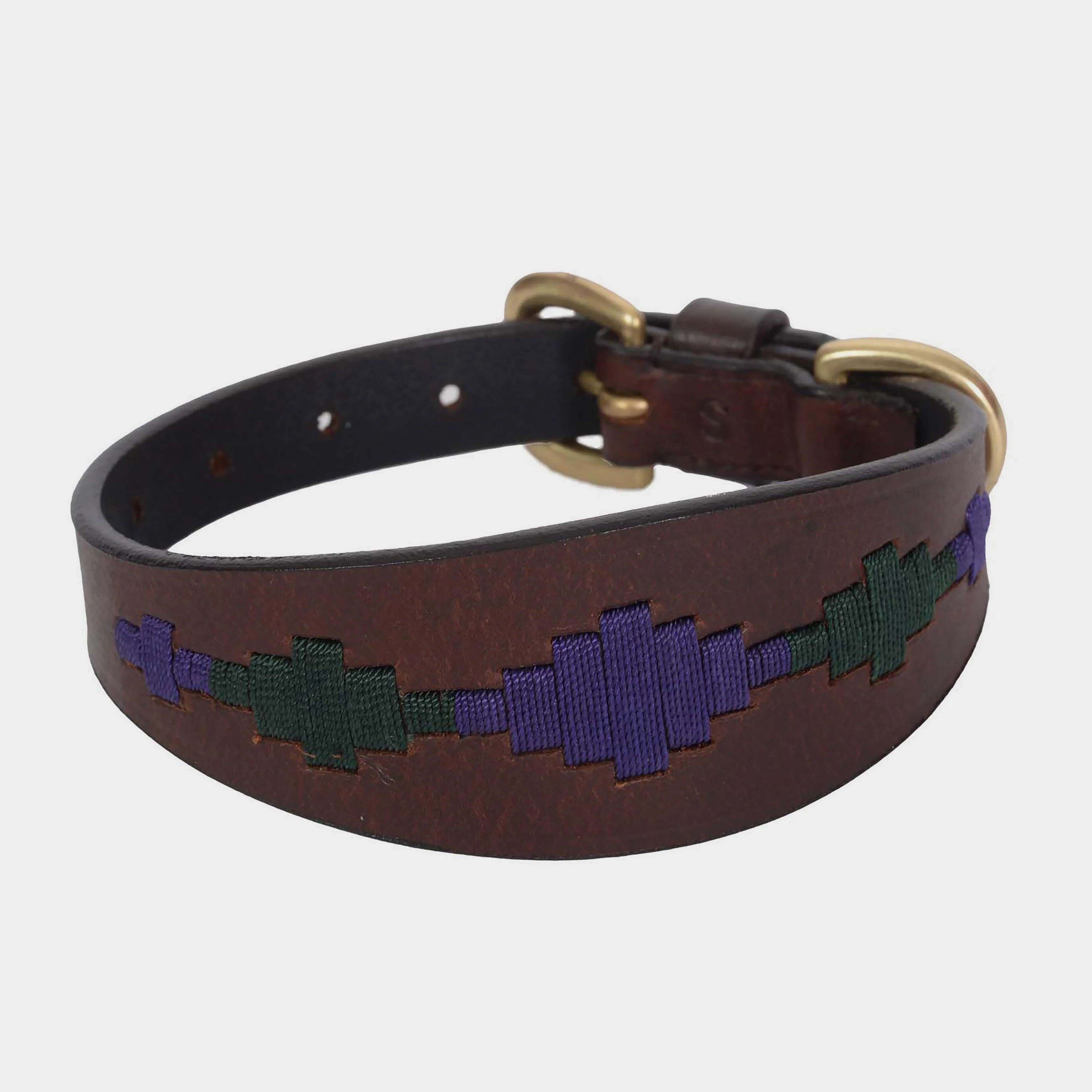 Lurcher Polo Leather Dog Collar