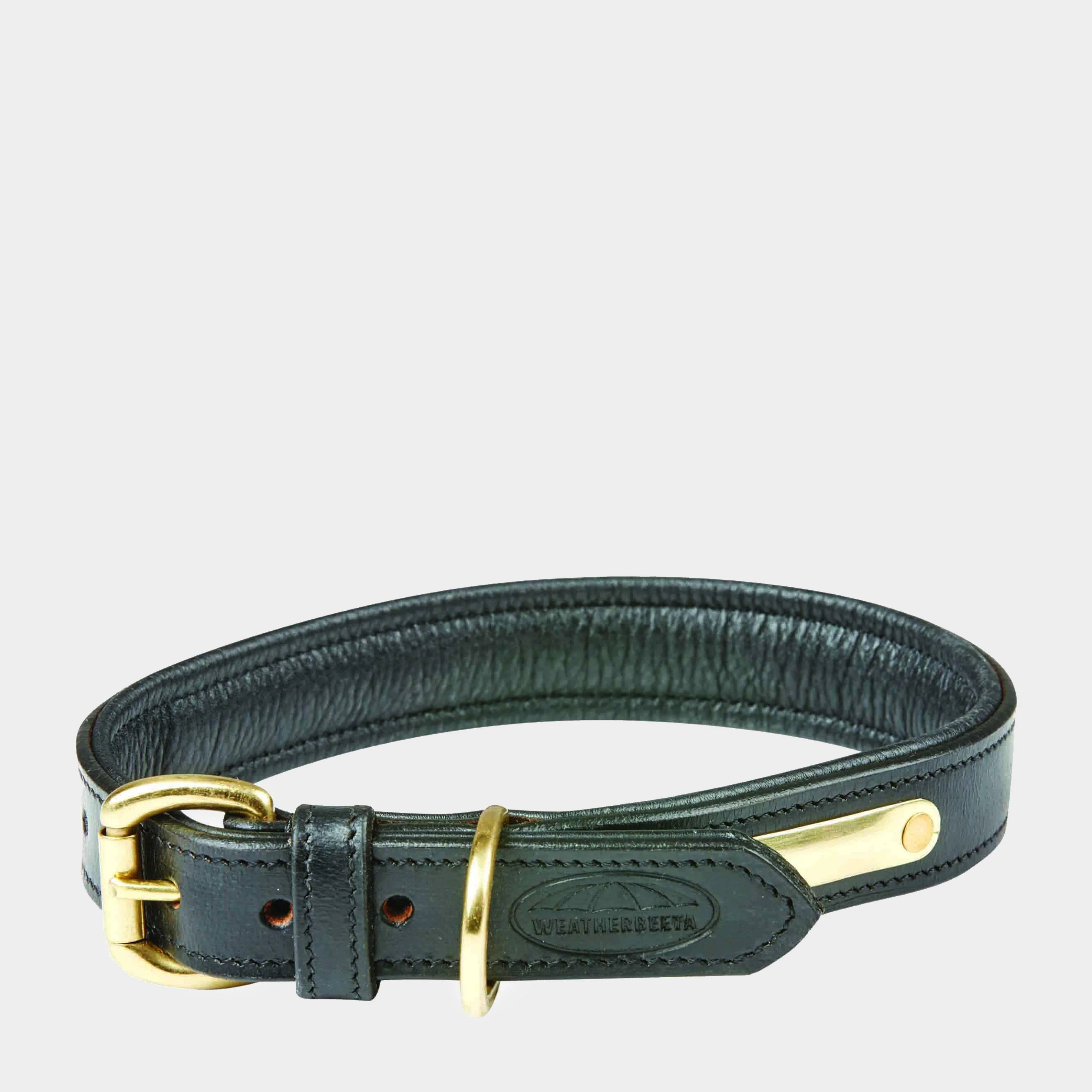 Padded Leather Dog Collar