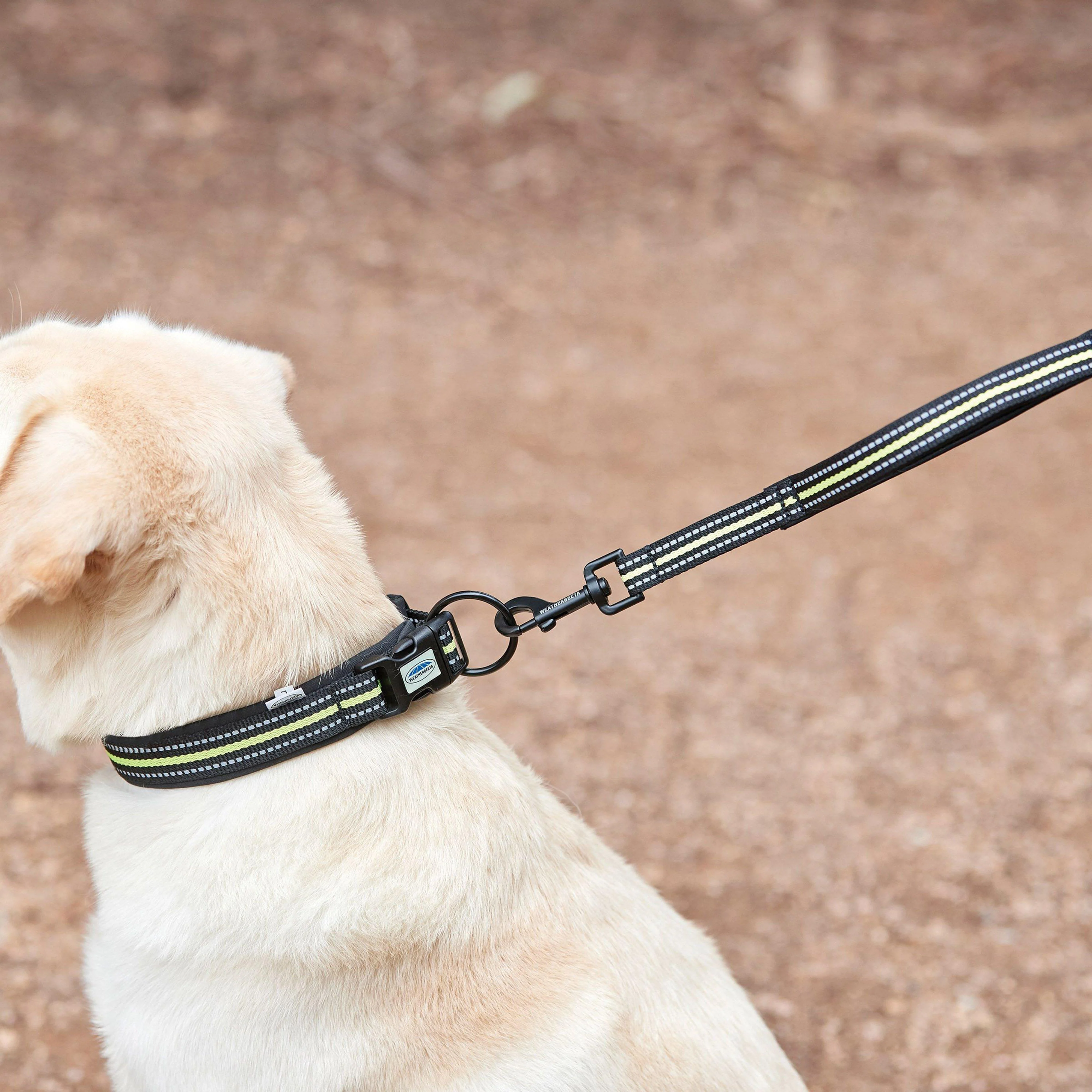 Reflective Dog Collar Large - Image 2