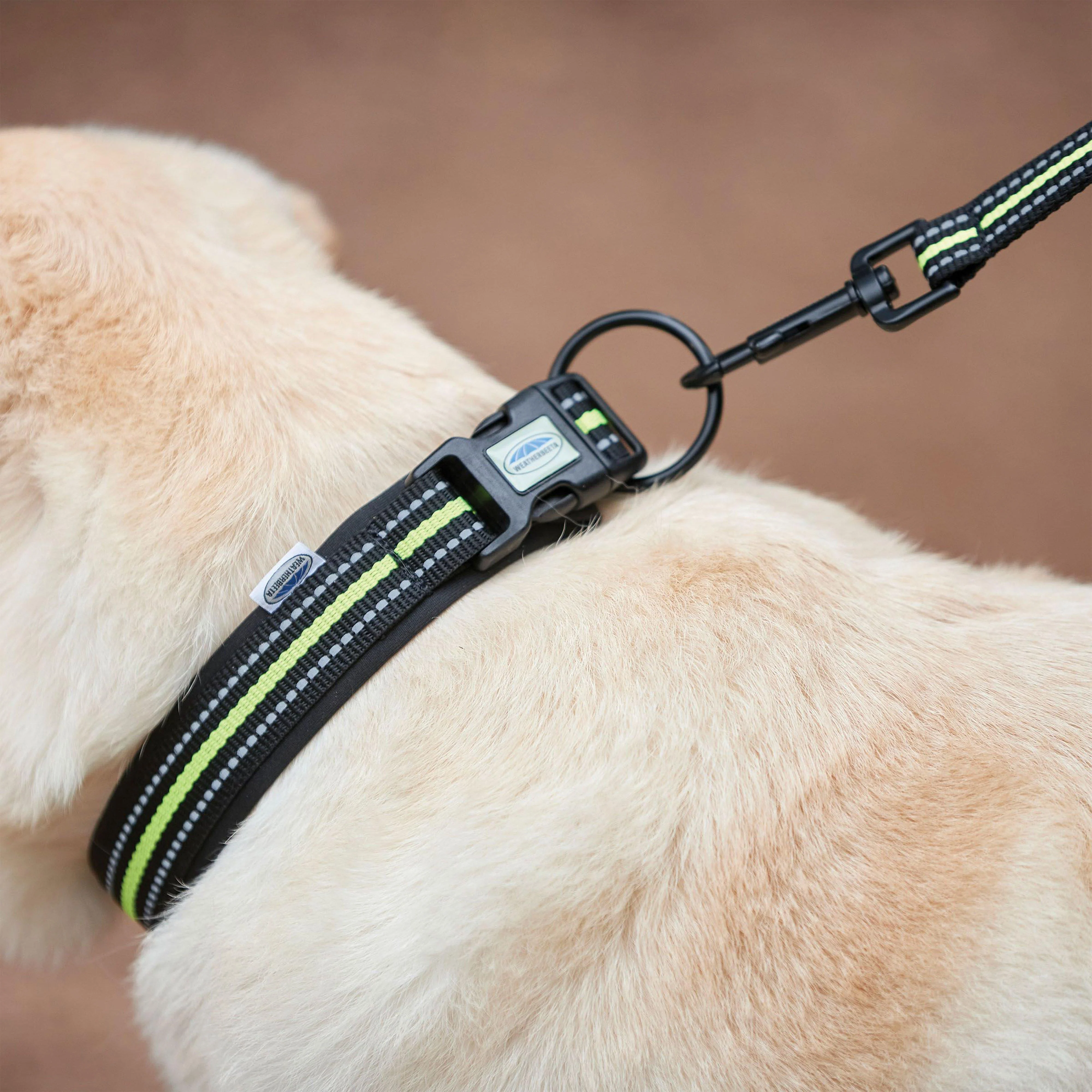 Reflective Dog Collar - Image 3